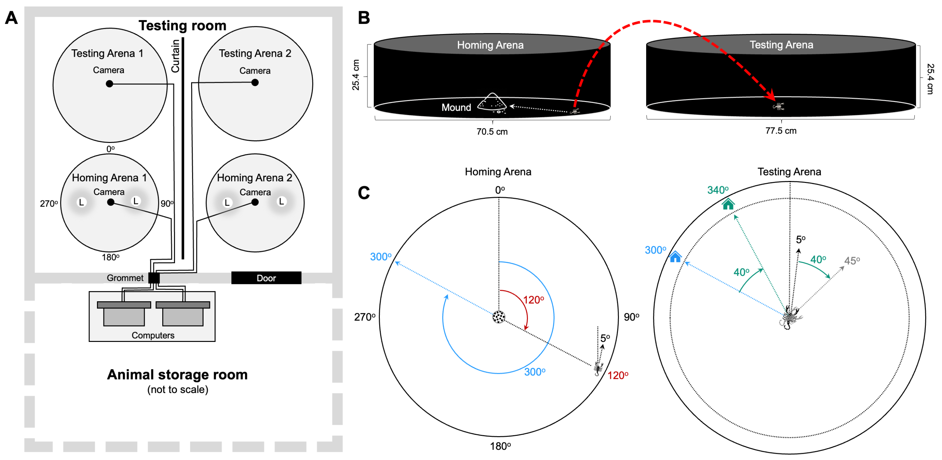 Arthropoda 01 00008 g001 Arthropoda 01 00008 g001