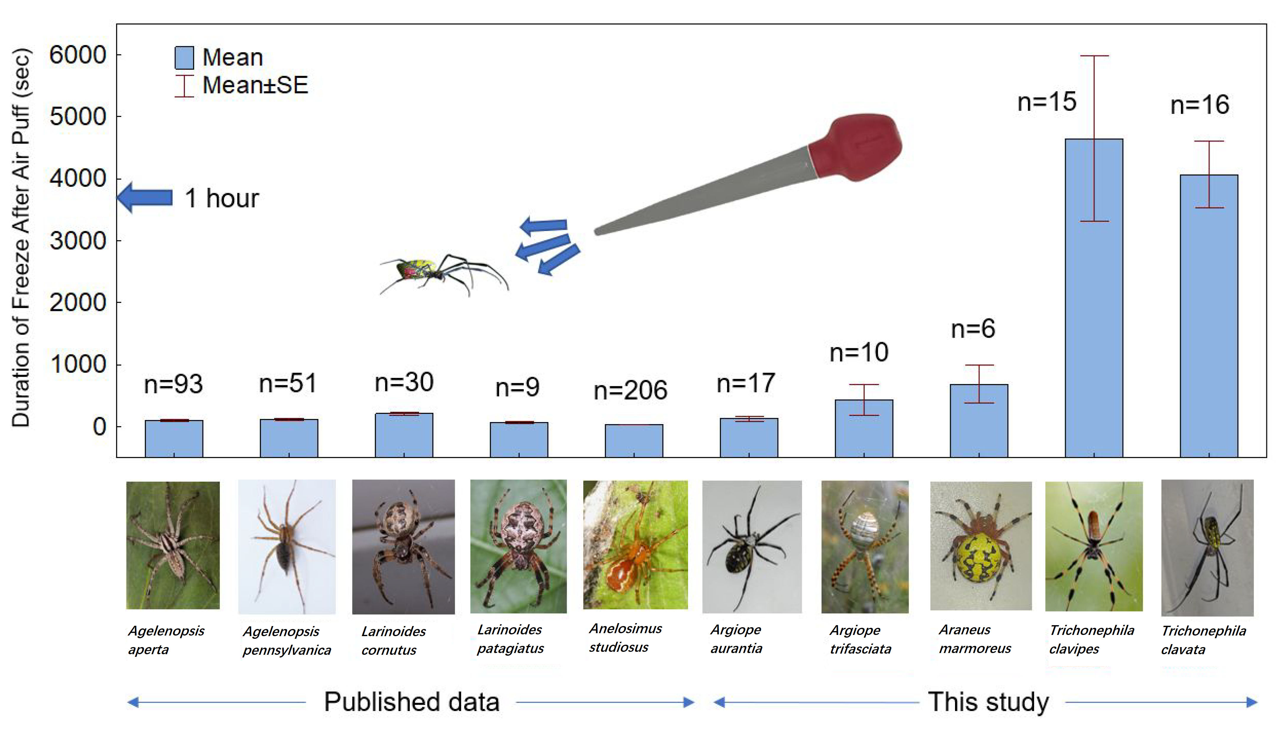 Arthropoda 01 00009 g002