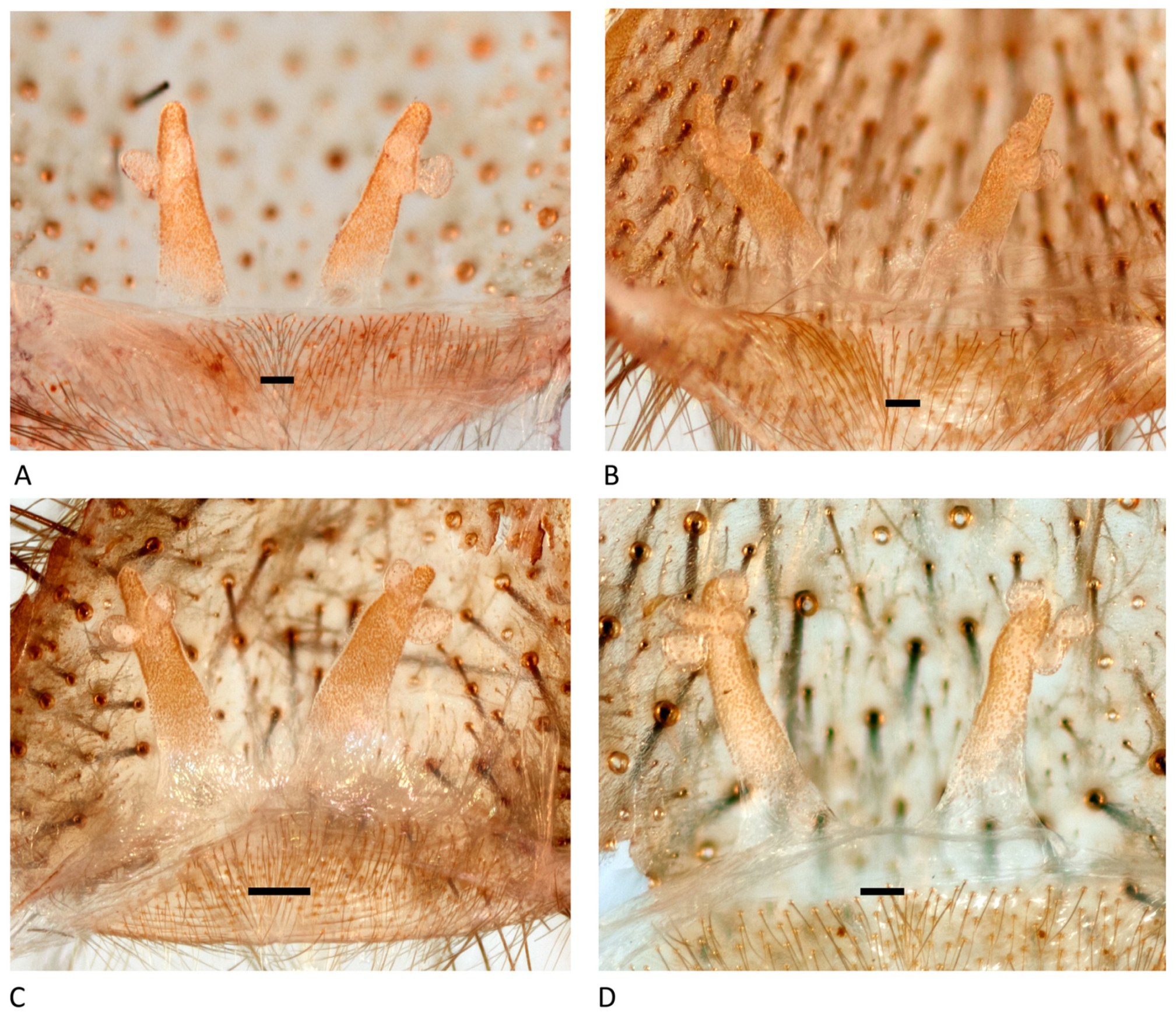 Arthropoda 01 00010 g198 550
