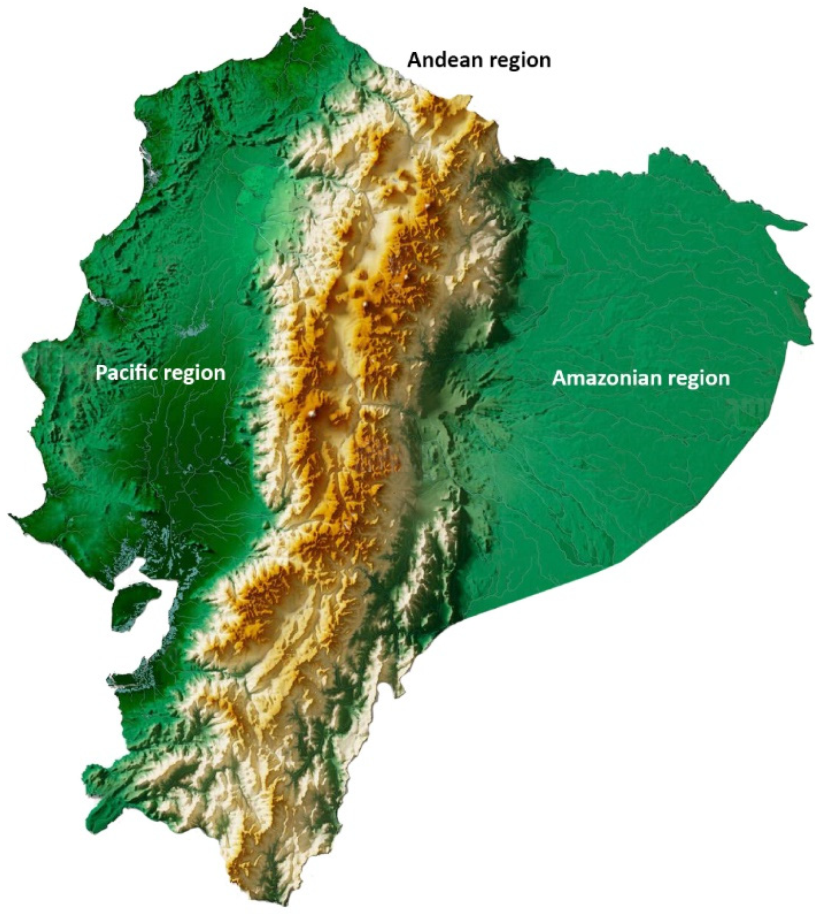 Arthropoda 01 00010 sch001 550