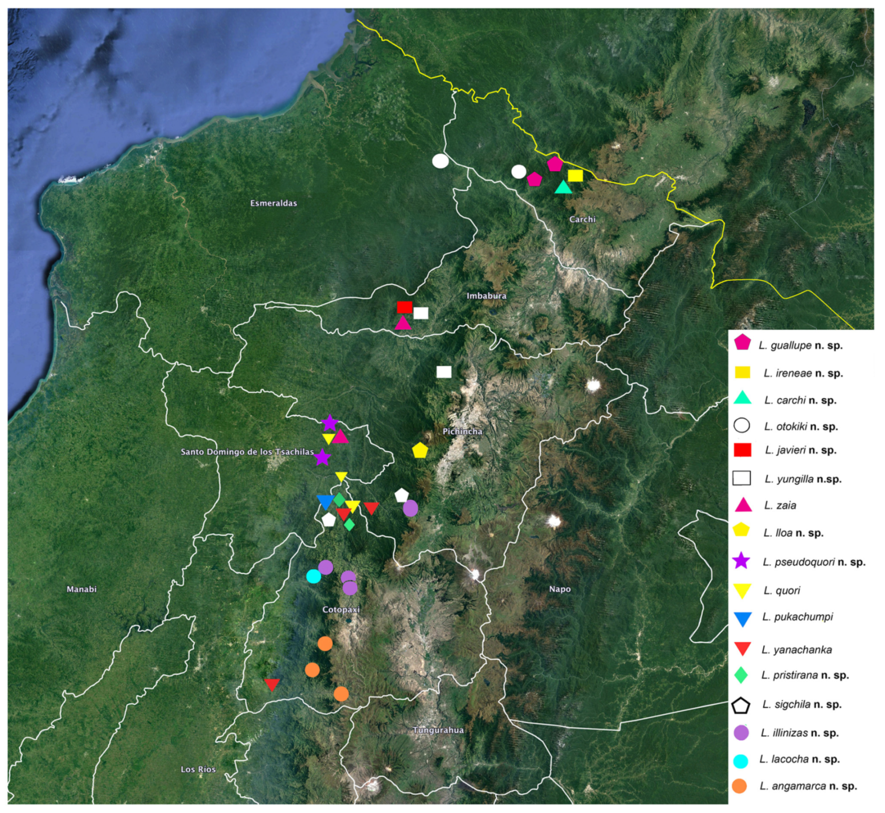Arthropoda 01 00010 sch003 550
