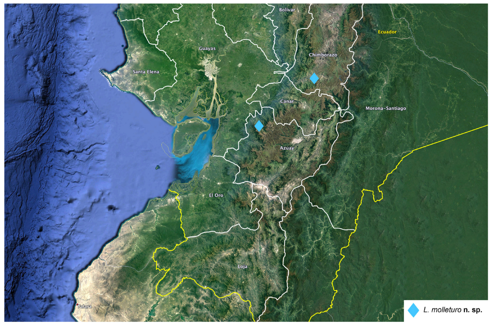 Arthropoda 01 00010 sch004 550