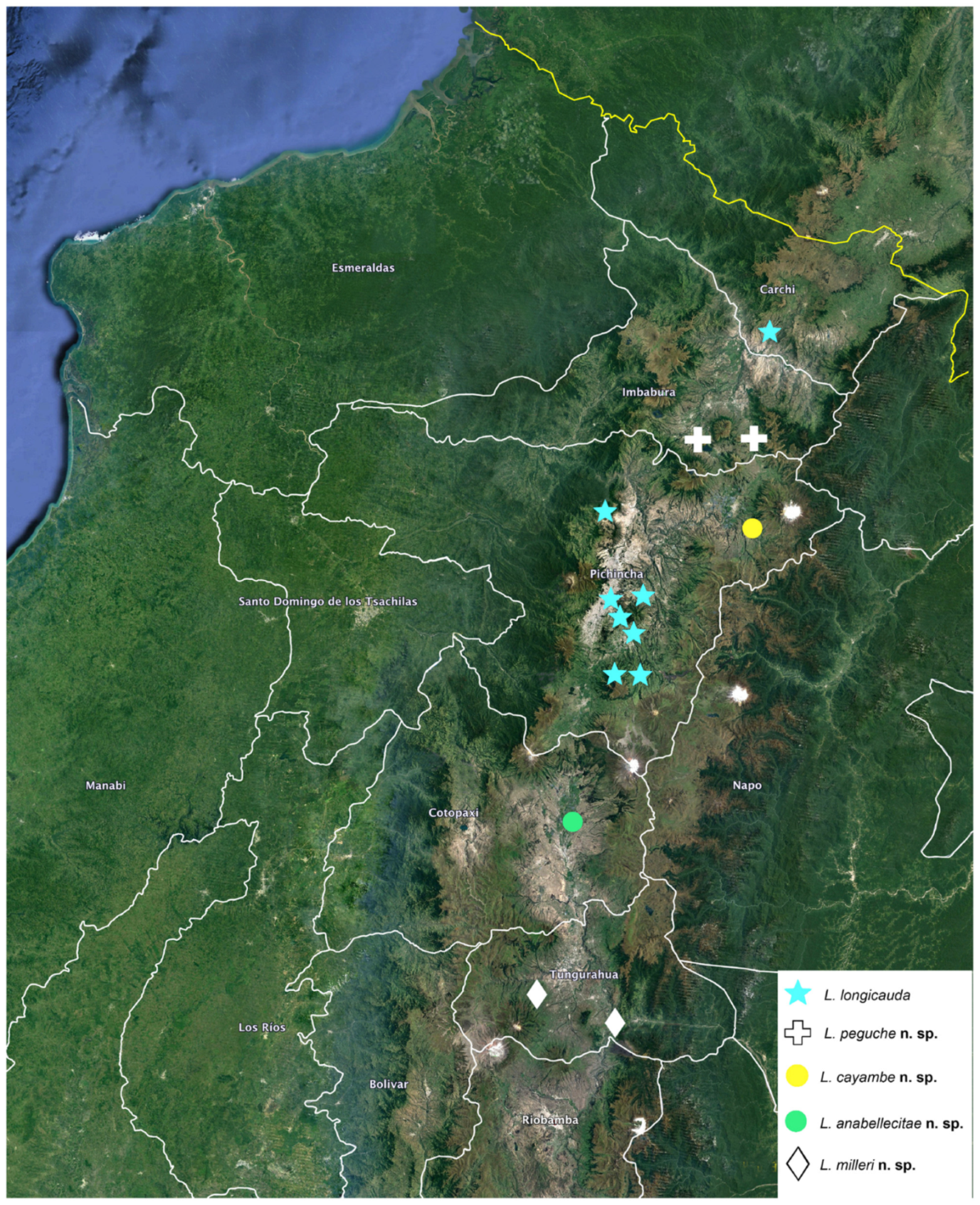 Arthropoda 01 00010 sch005 550