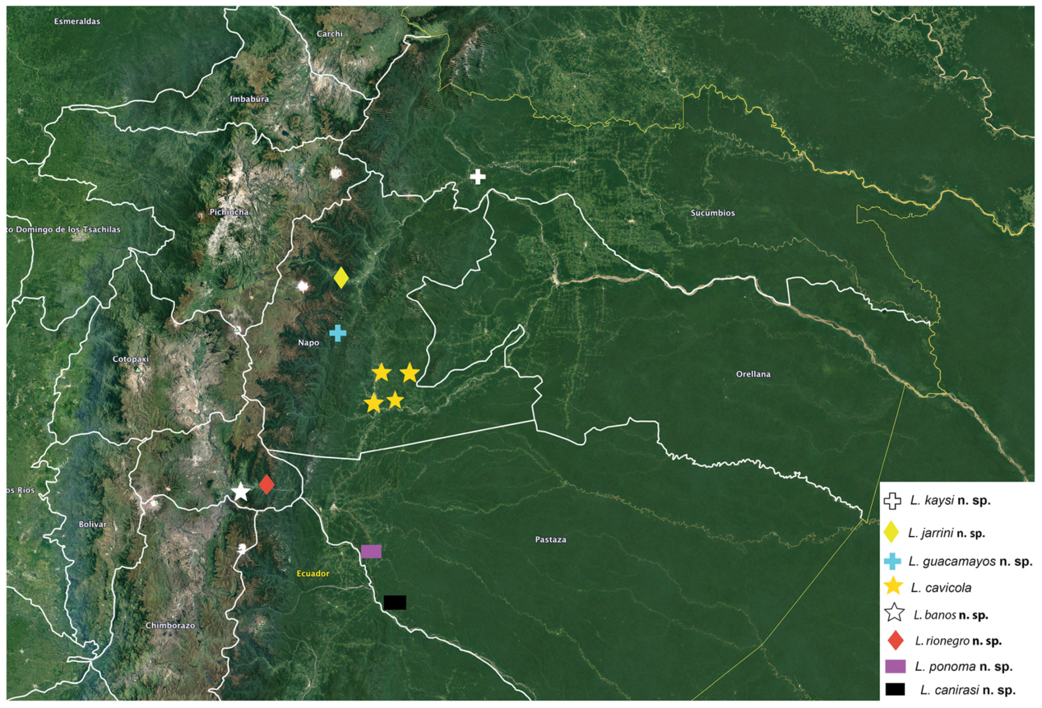 Arthropoda 01 00010 sch007 550