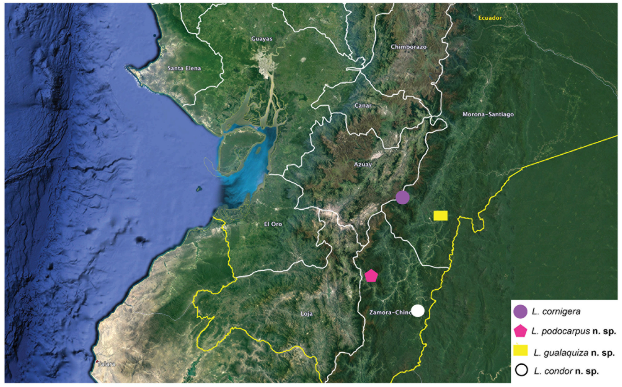 Arthropoda 01 00010 sch008 550