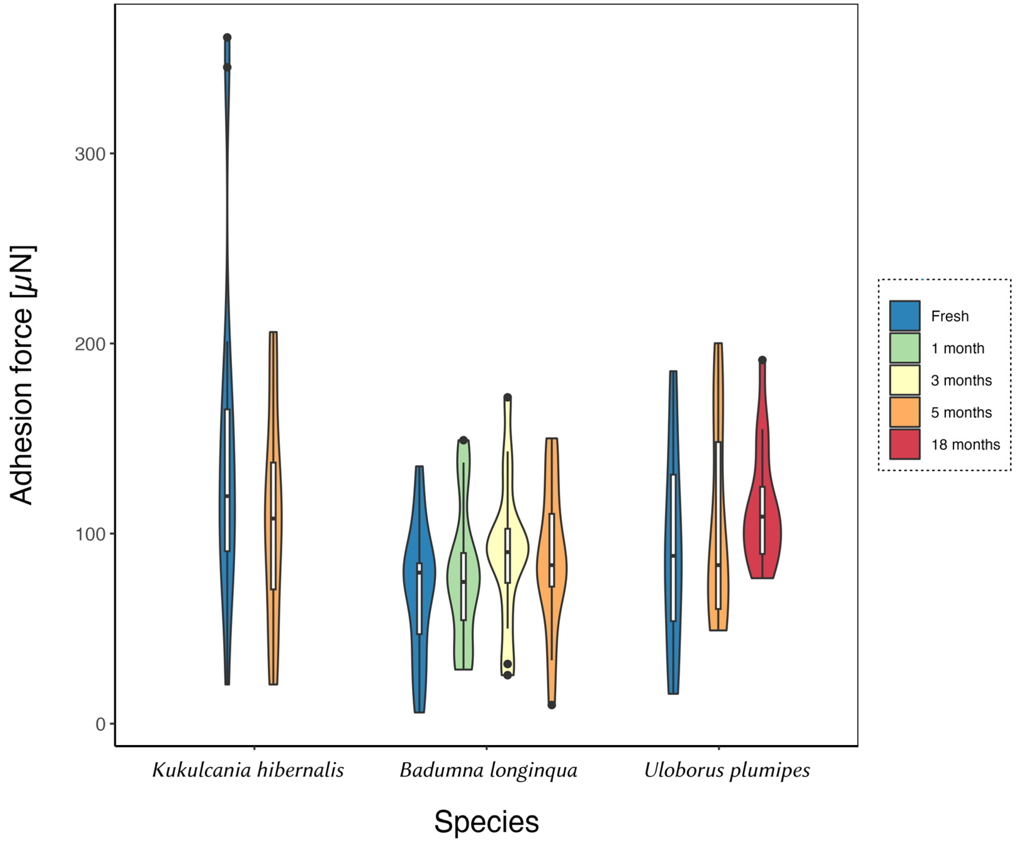 Arthropoda 01 00011 g002 Arthropoda 01 00011 g002