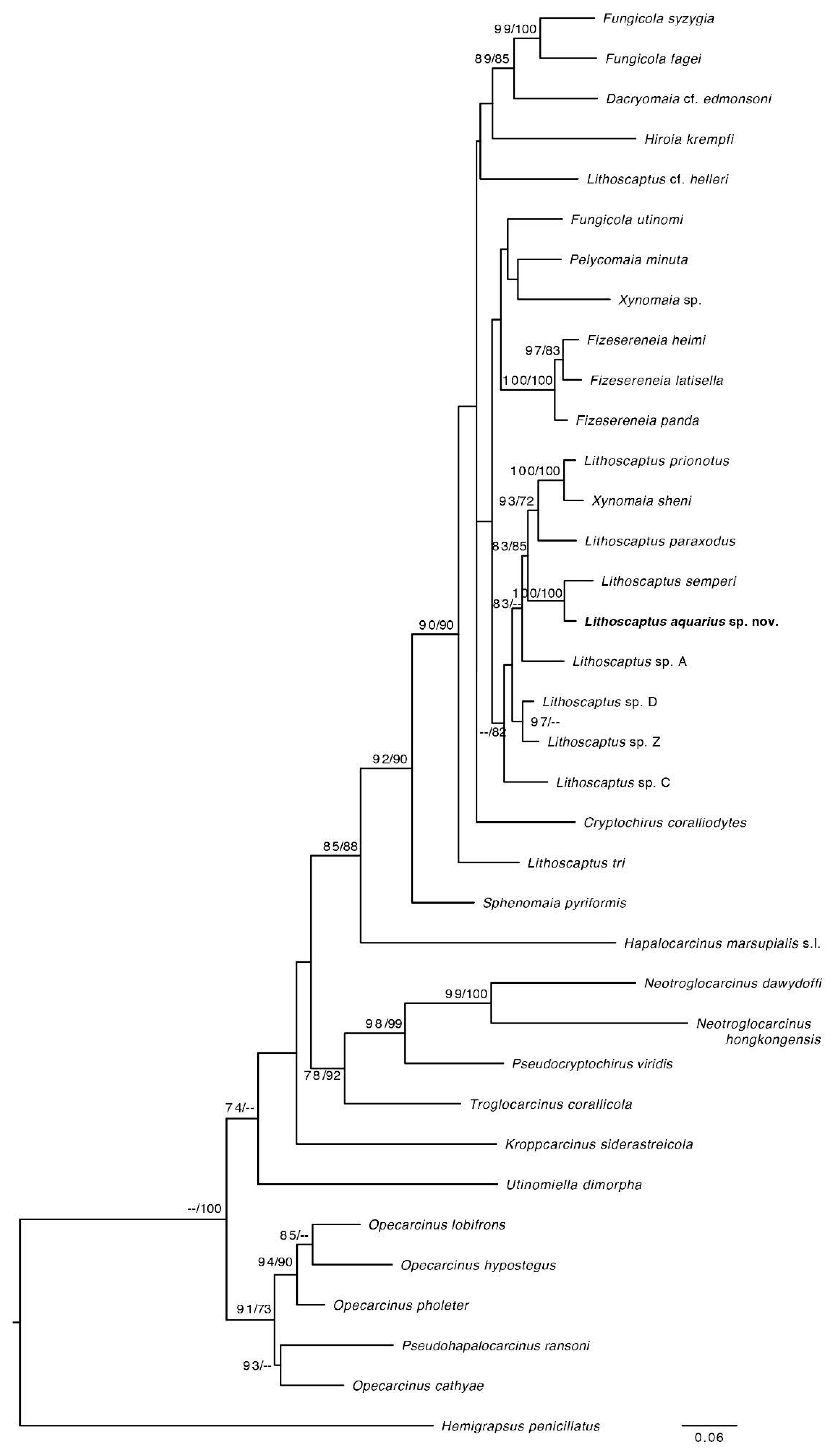 Arthropoda 01 00012 g004 Arthropoda 01 00012 g004