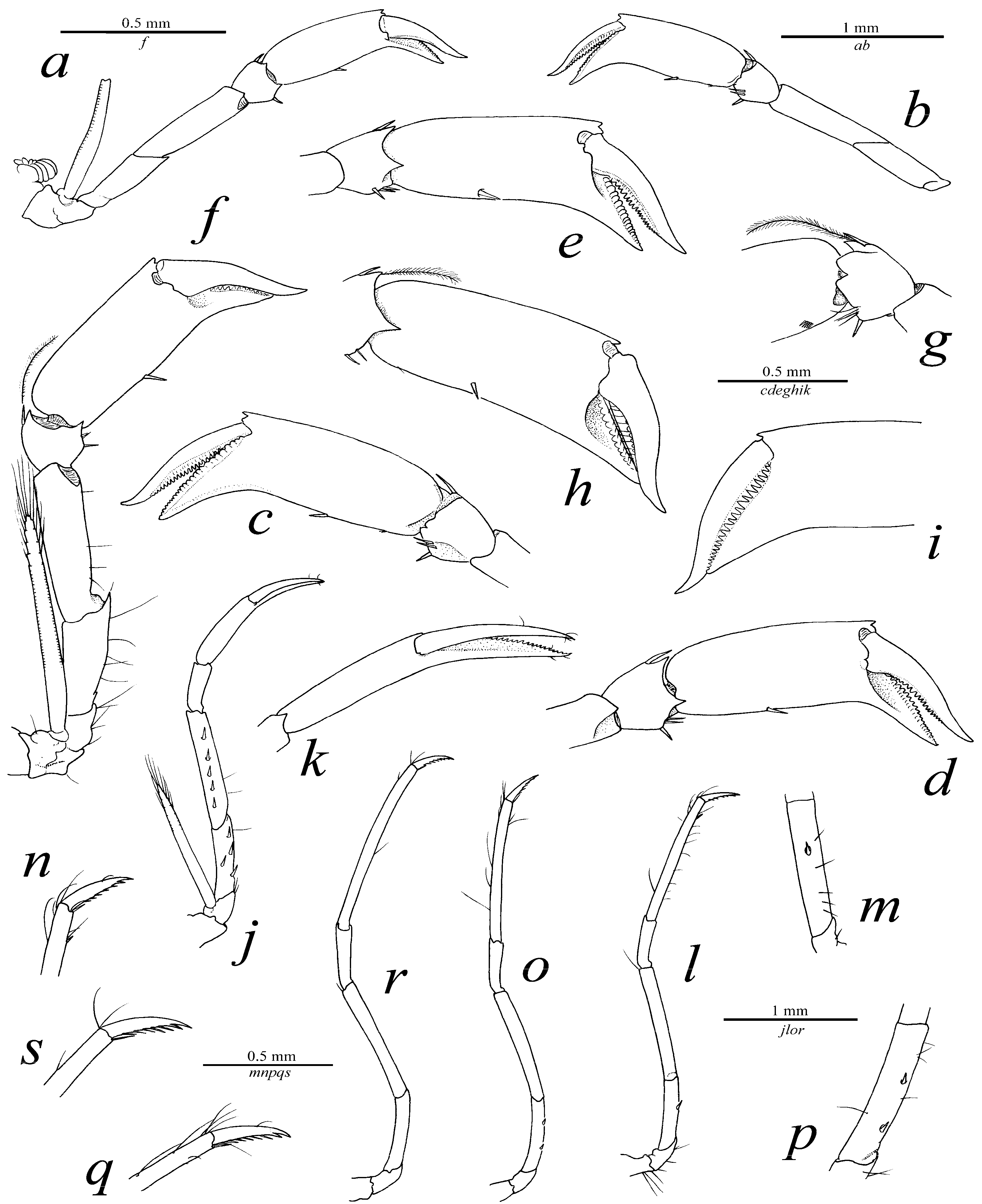 Arthropoda 01 00020 g002