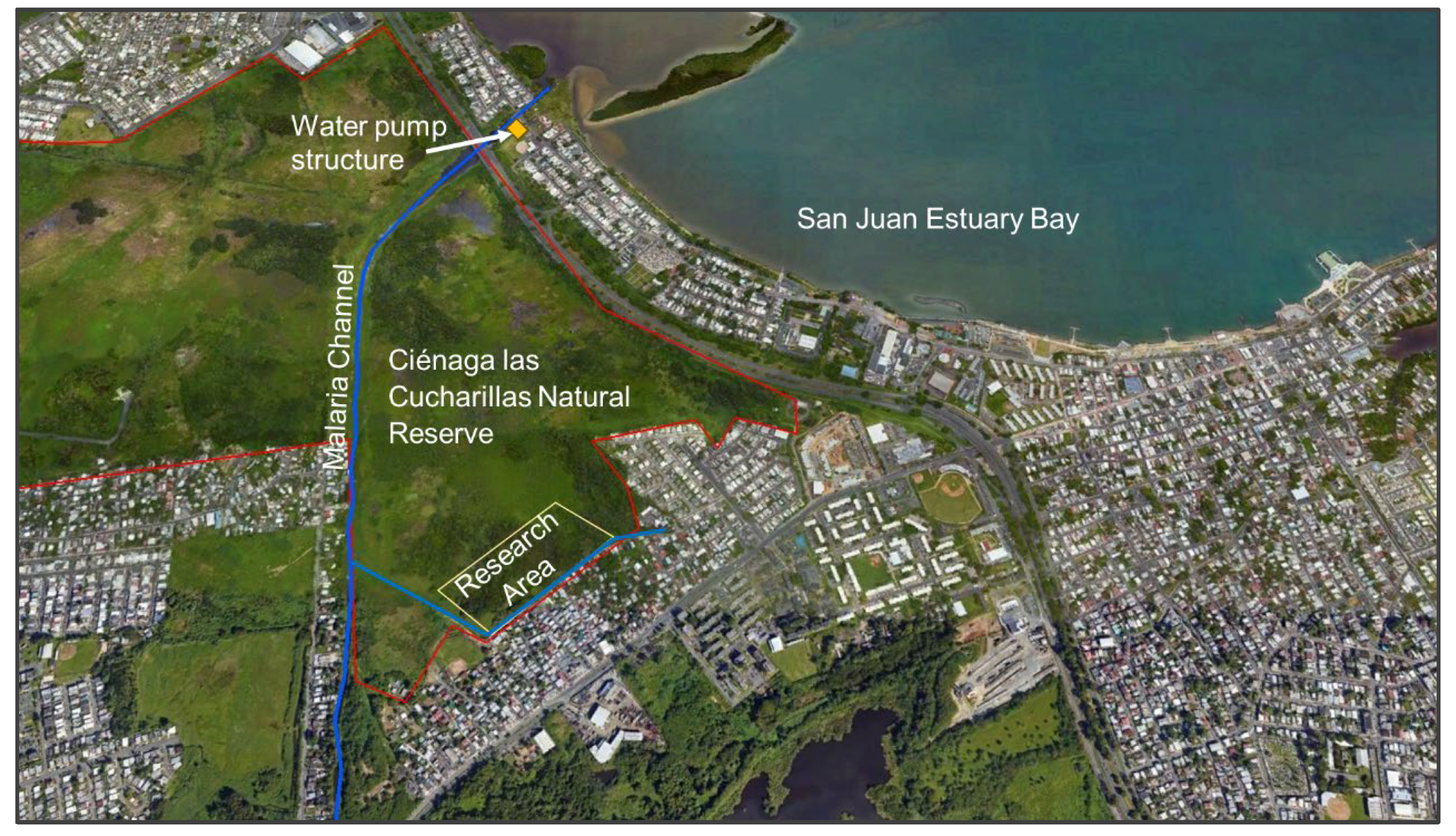 Arthropoda 02 00001 g003