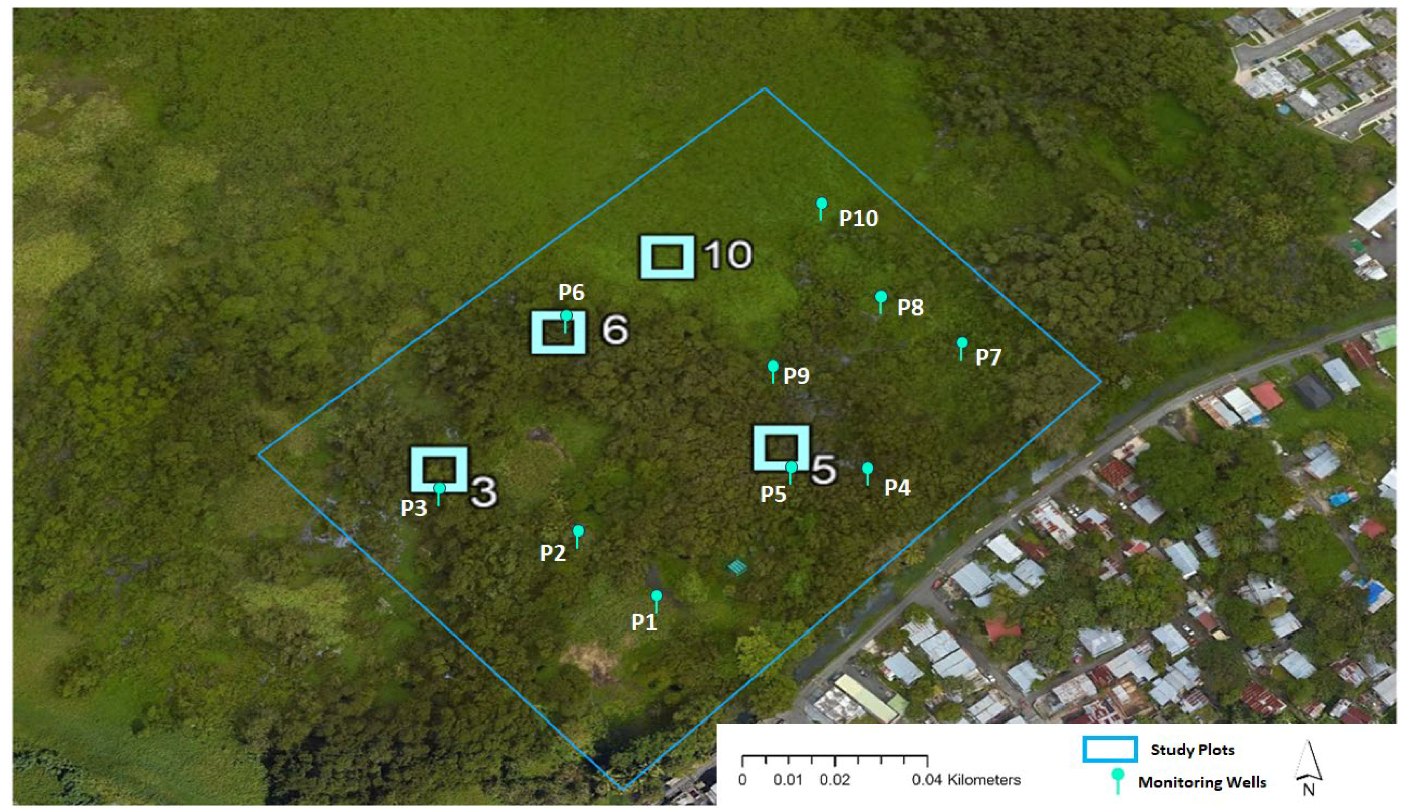 Arthropoda 02 00001 g004