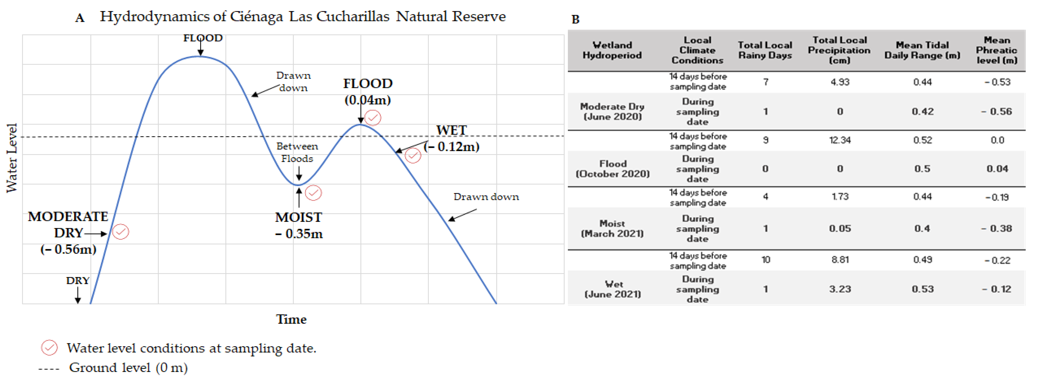 Arthropoda 02 00001 g005