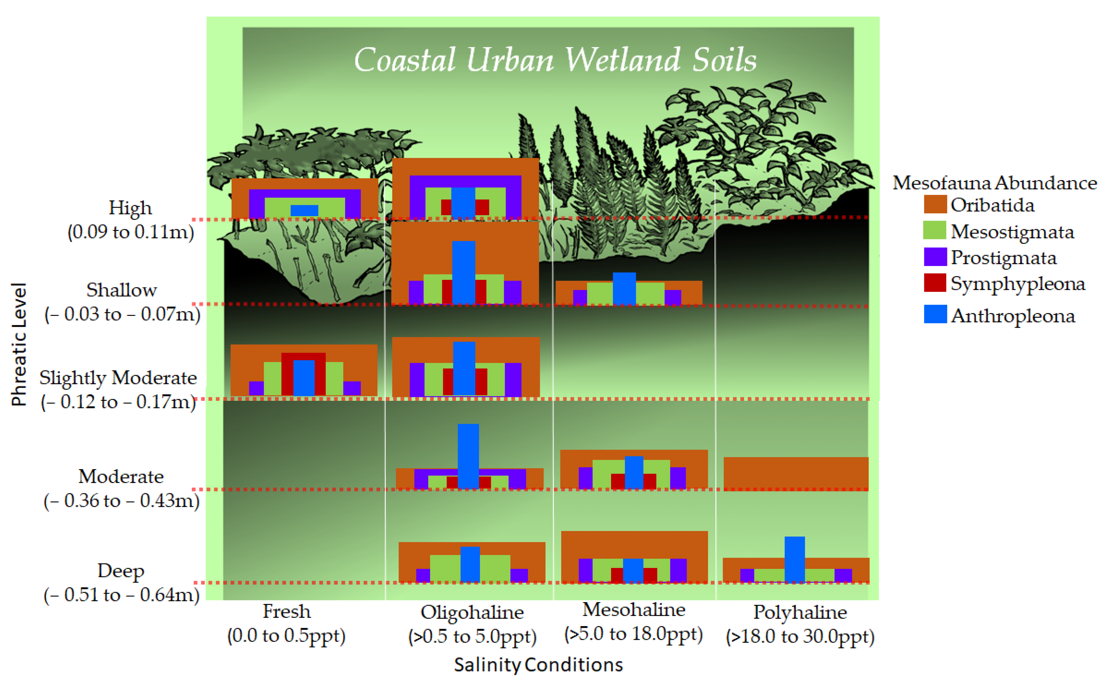 Arthropoda 02 00001 g024