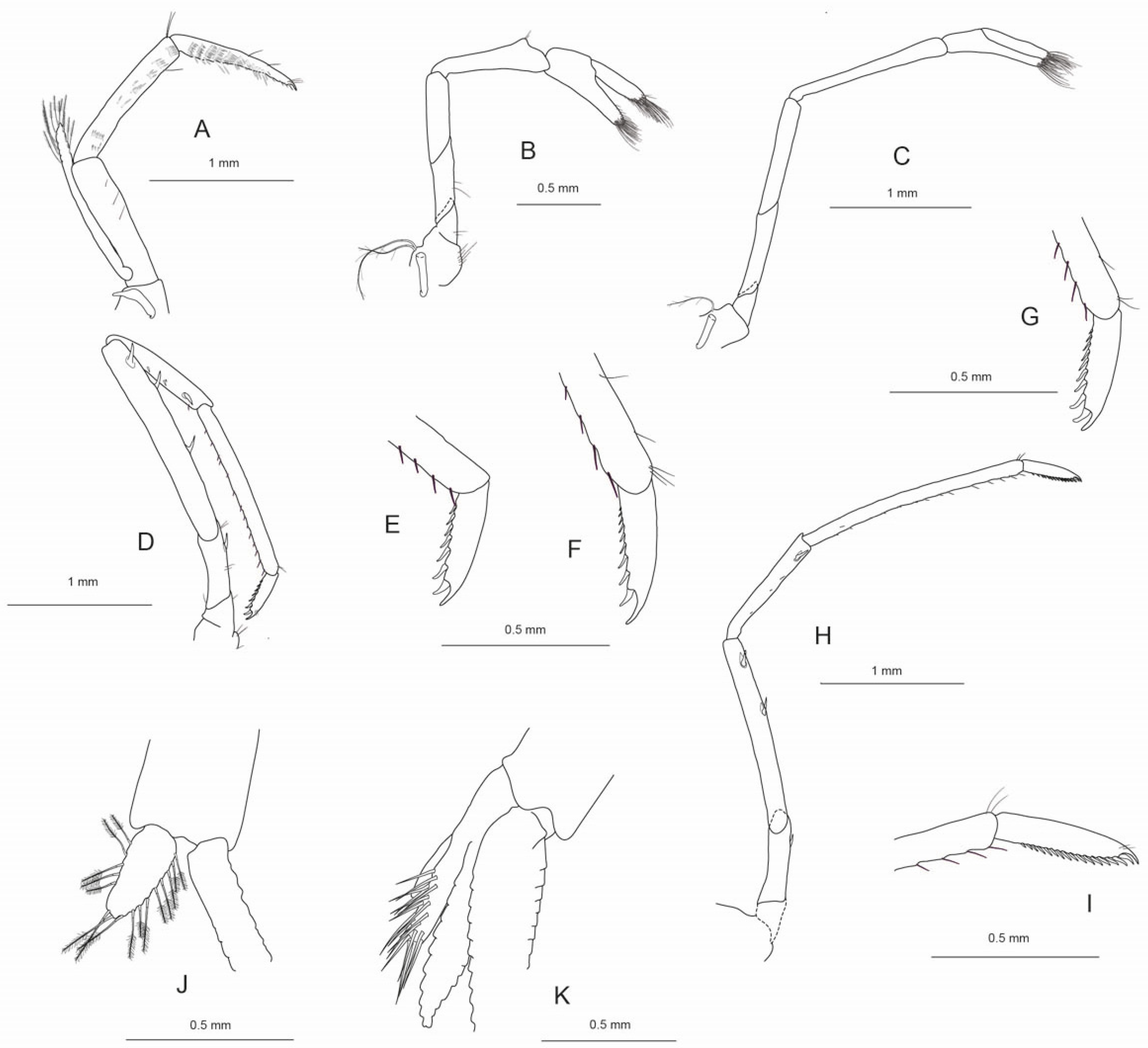 Arthropoda 02 00008 g004