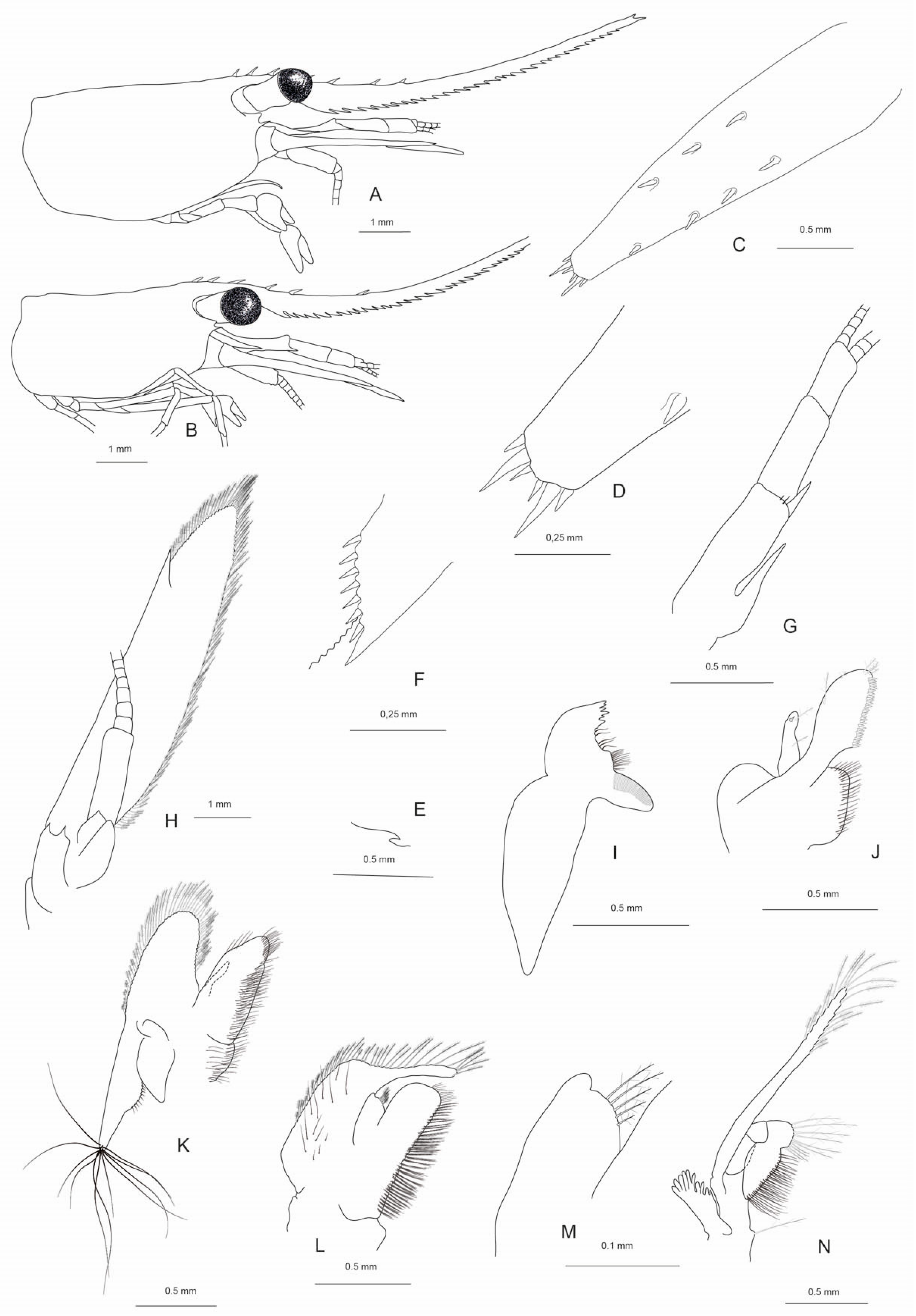 Arthropoda 02 00008 g005