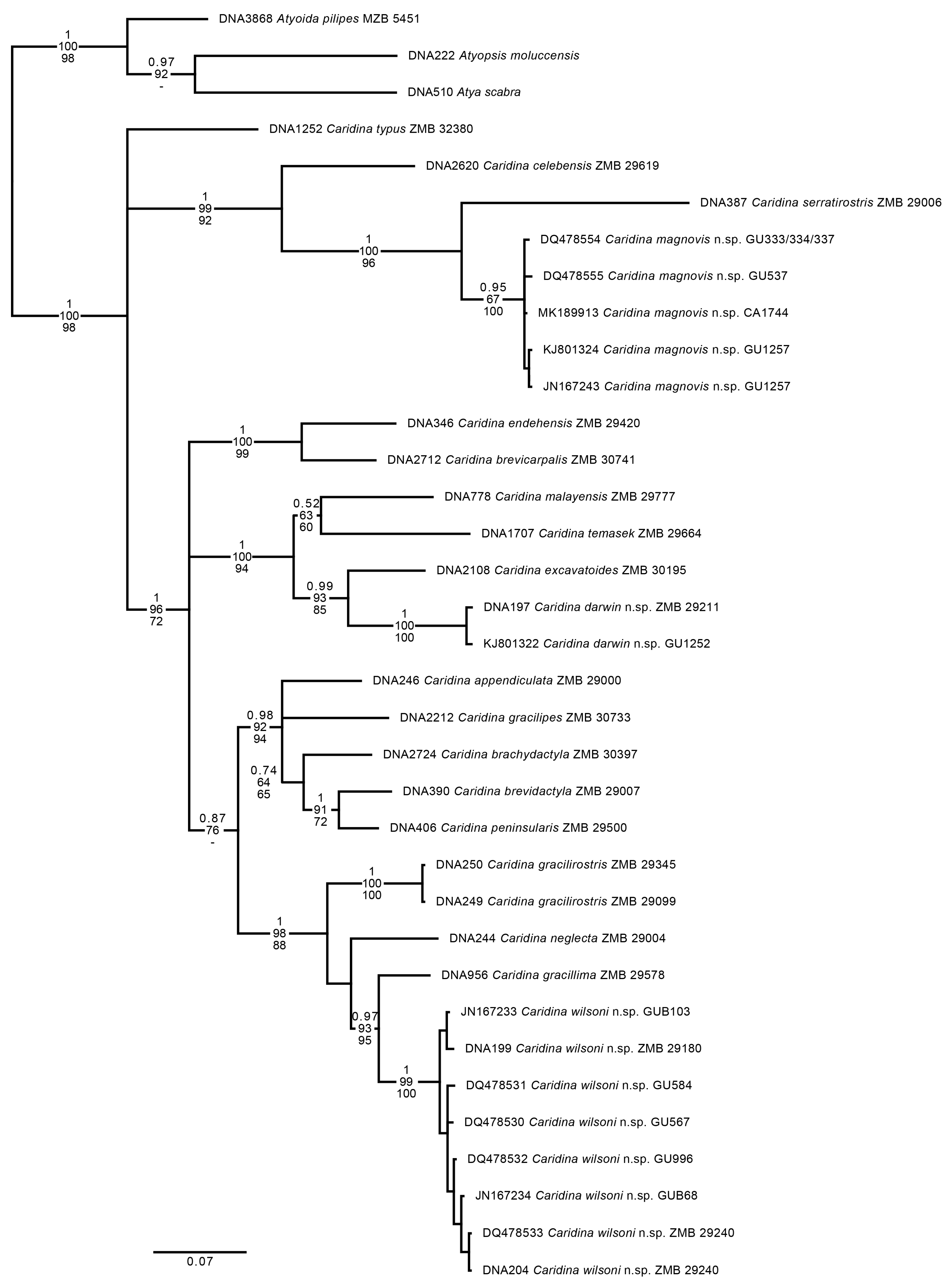 Arthropoda 02 00008 g007