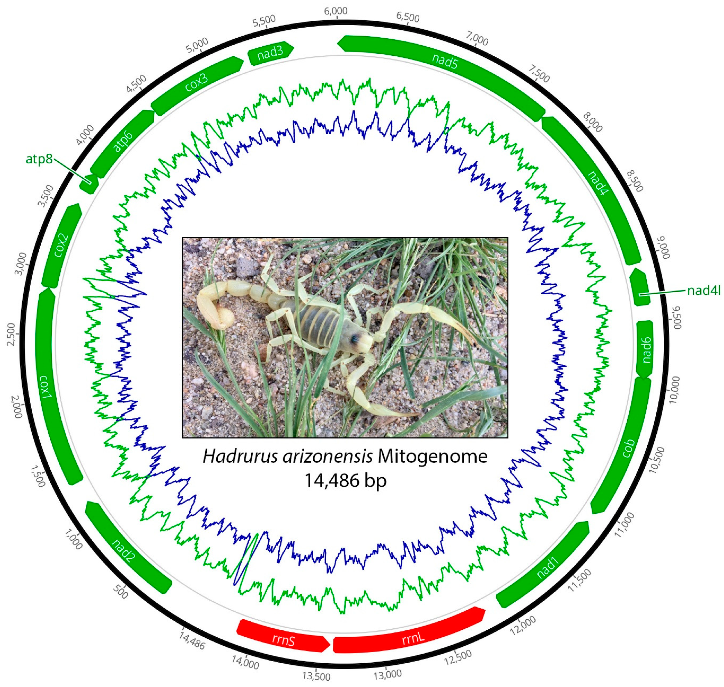 Arthropoda 02 00009 g001