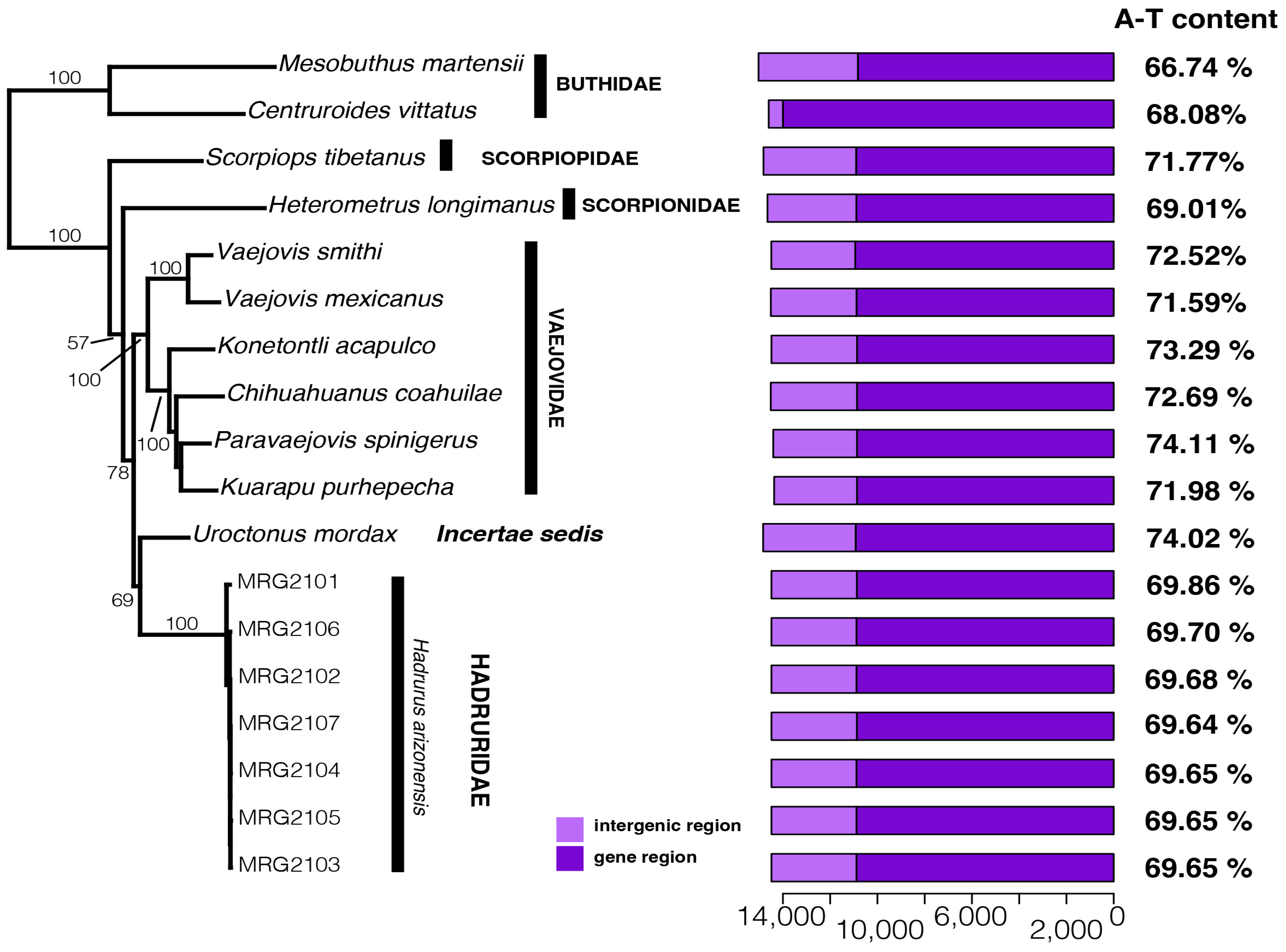 Arthropoda 02 00009 g004