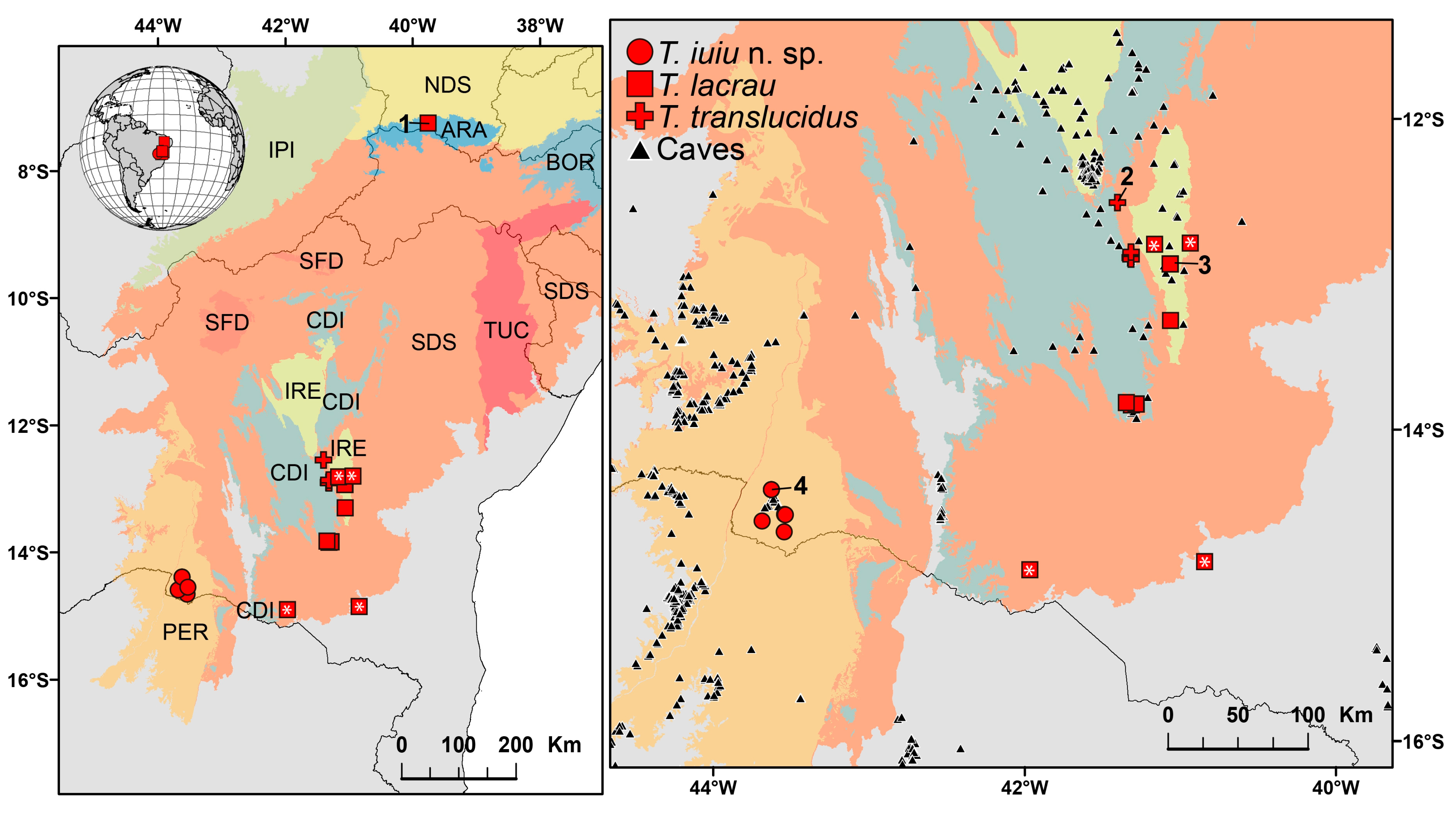 Arthropoda 03 00006 g017 Arthropoda 03 00006 g017