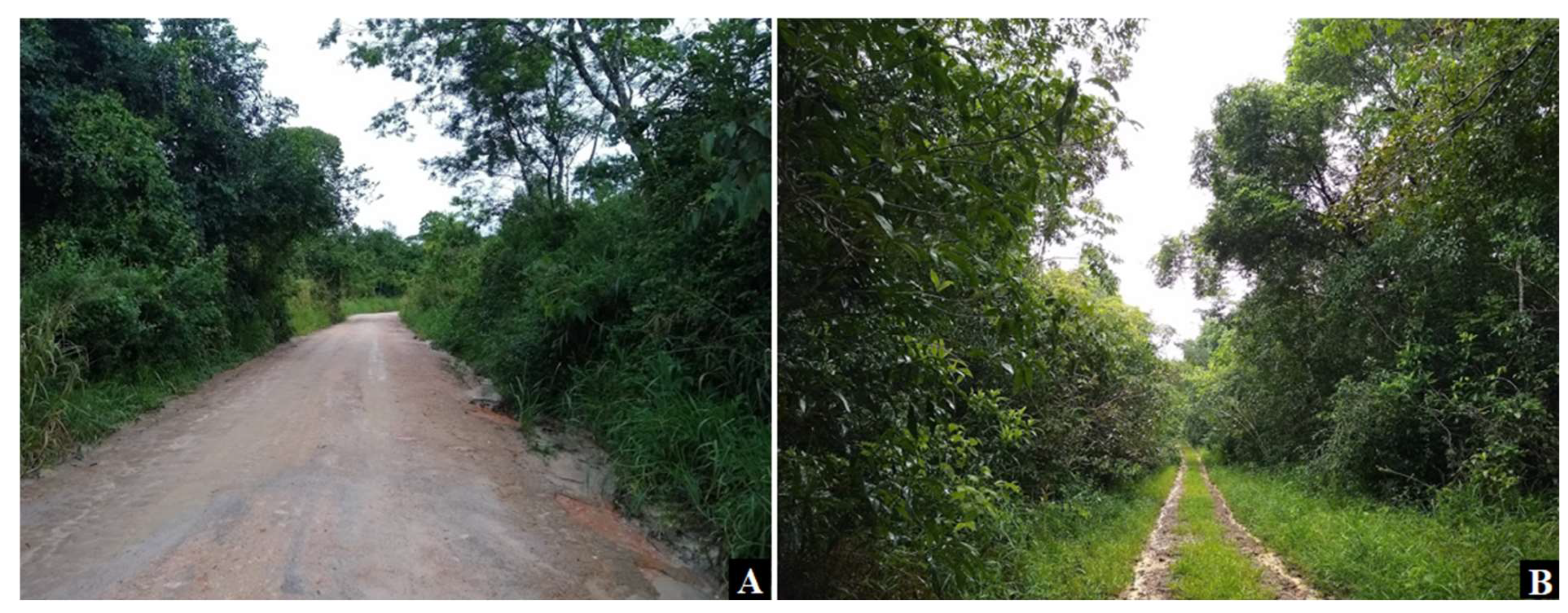 Arthropoda 03 00007 g002 Arthropoda 03 00007 g002