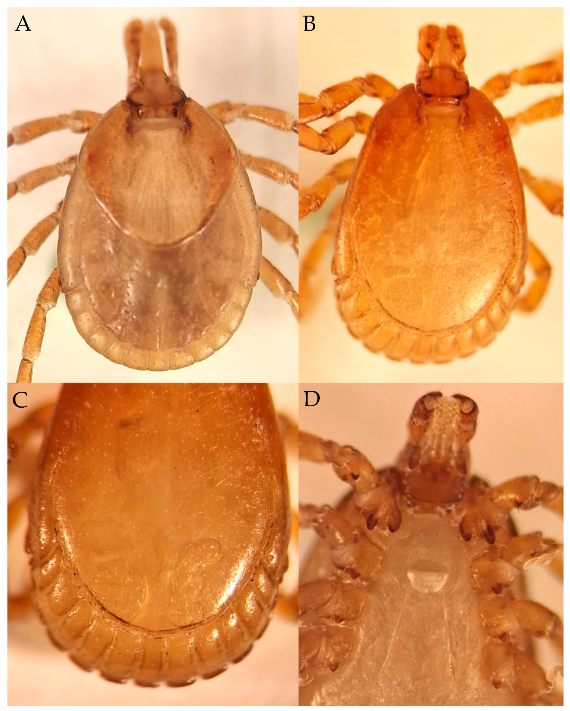 Arthropoda 03 00009 g003