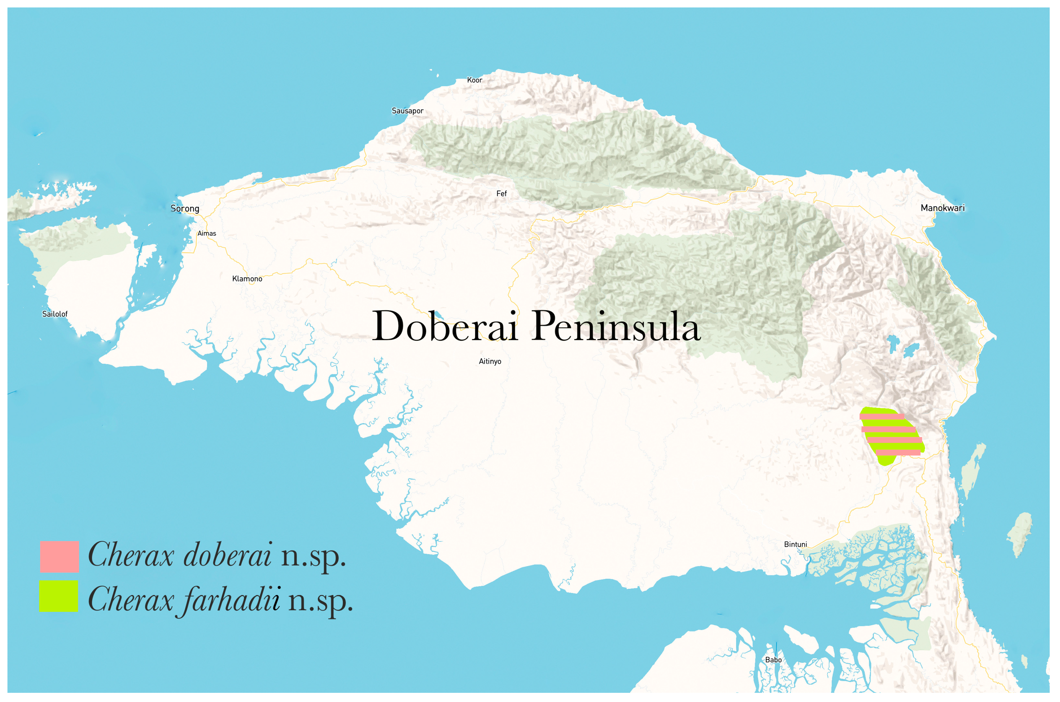 Arthropoda 03 00010 g020