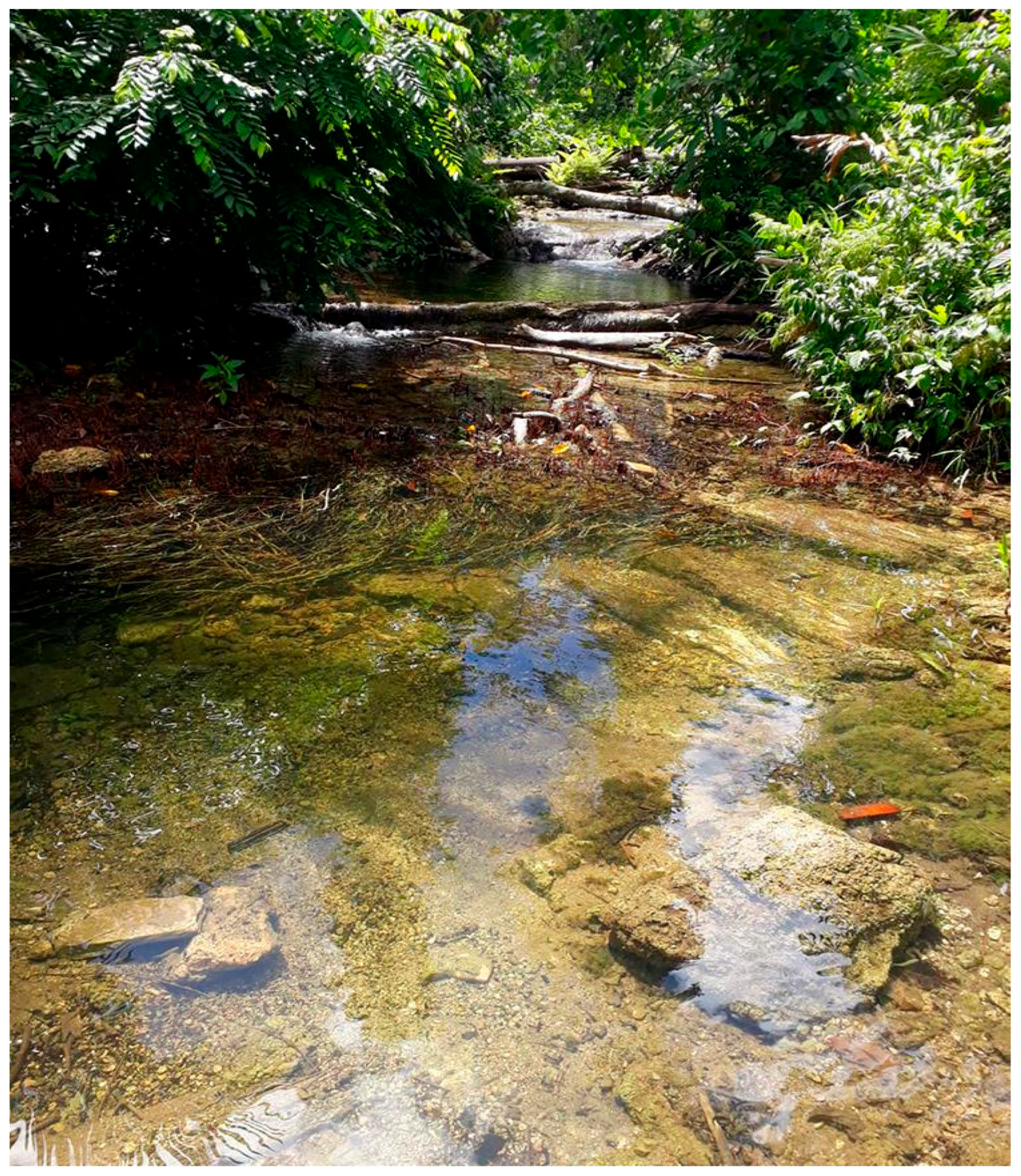 Arthropoda 03 00010 g042