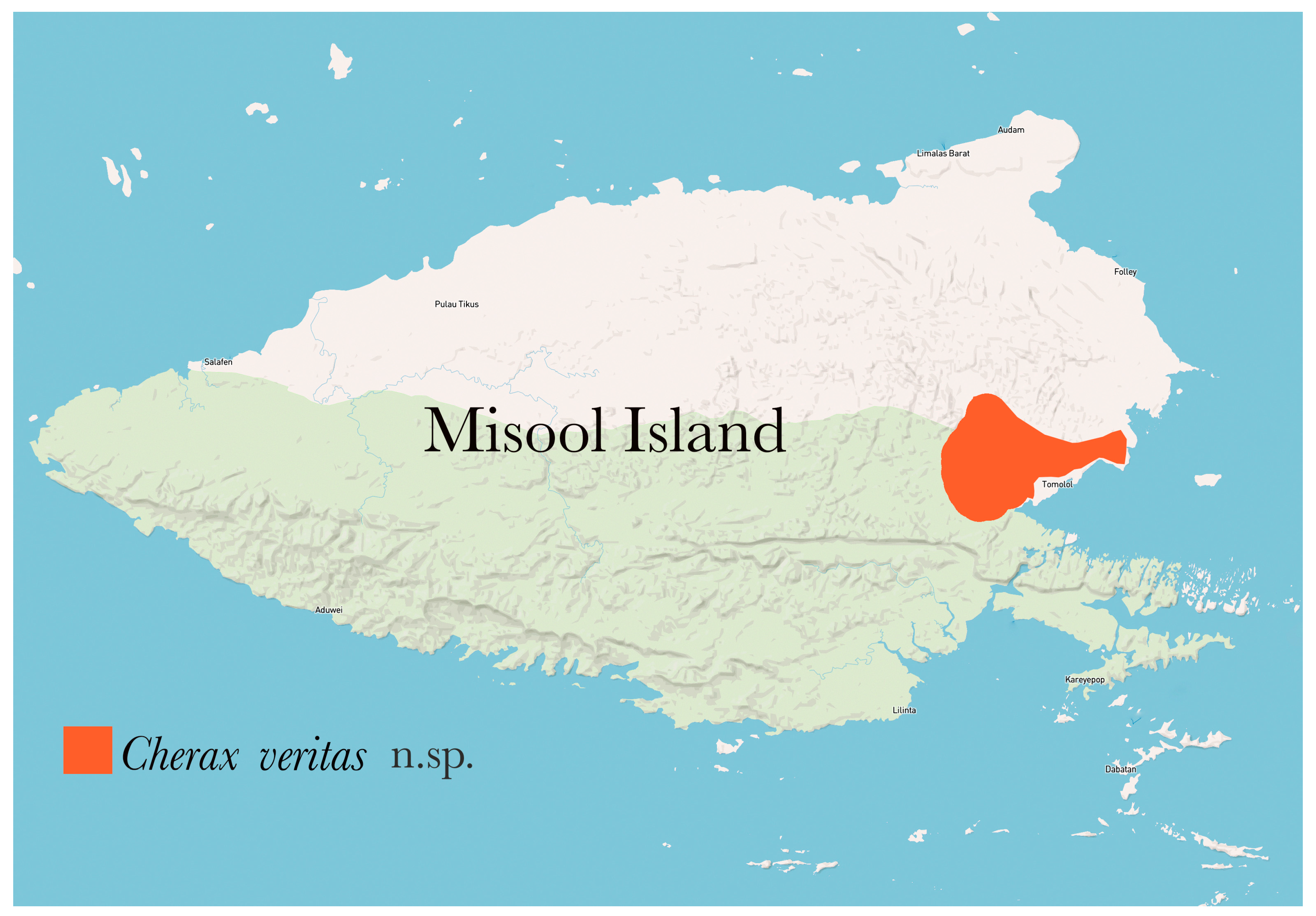 Arthropoda 03 00010 g043