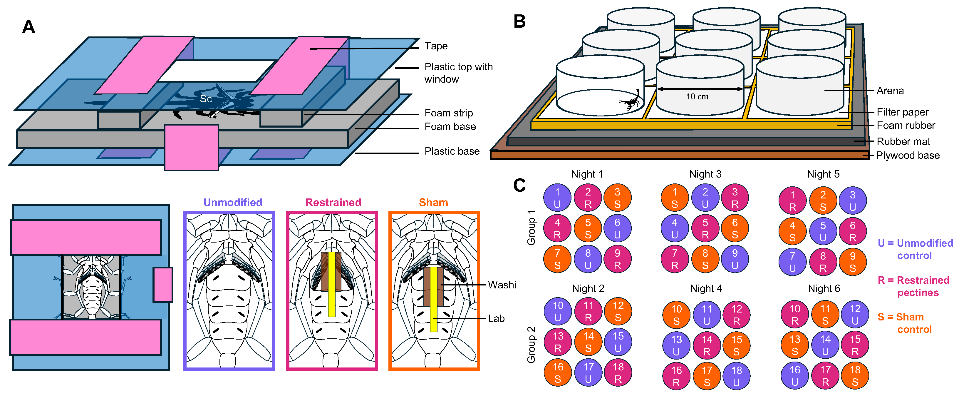 Arthropoda 03 00012 g001 Arthropoda 03 00012 g001
