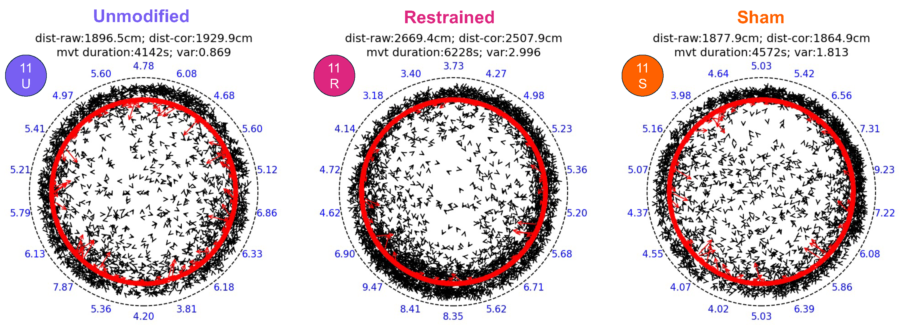 Arthropoda 03 00012 g002 Arthropoda 03 00012 g002