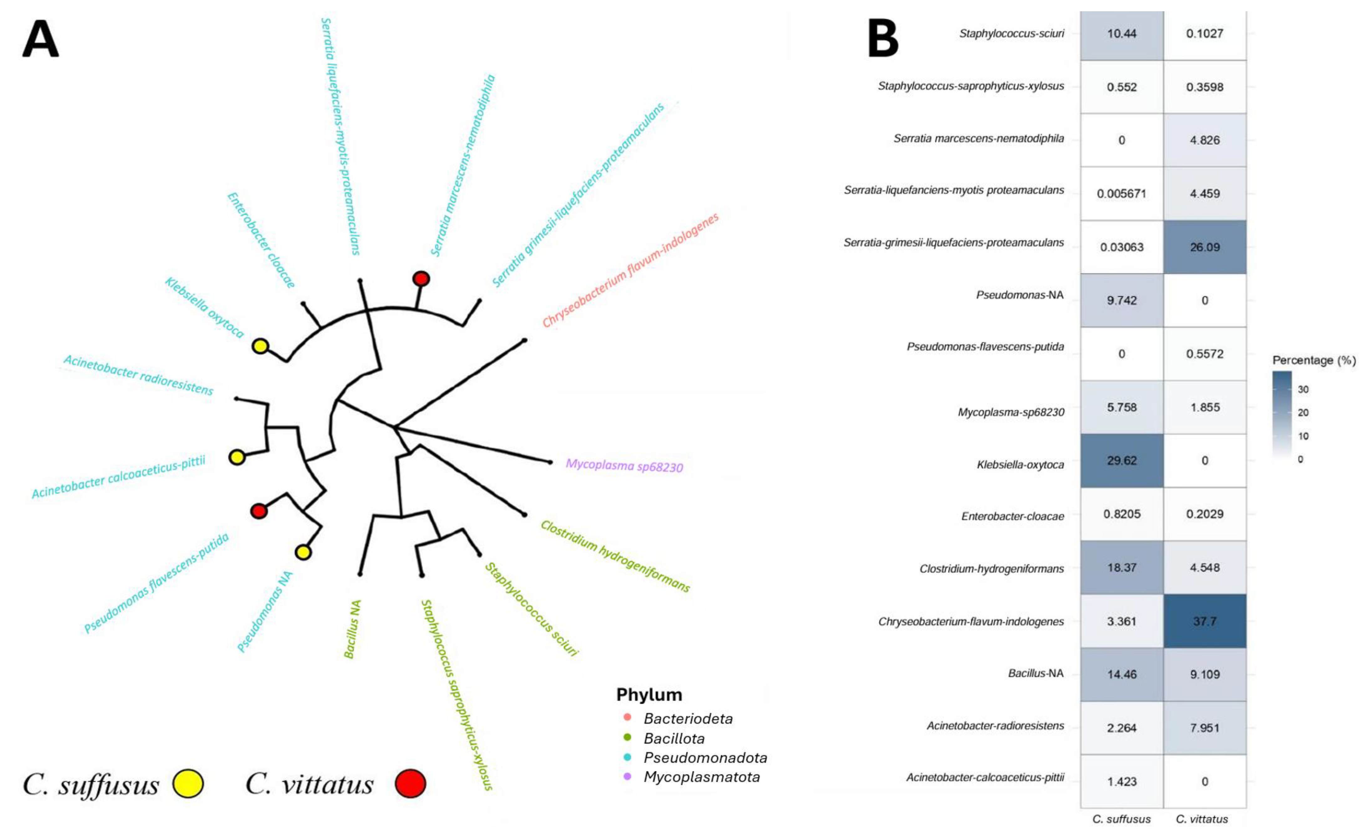 Arthropoda 03 00014 g003 Arthropoda 03 00014 g003