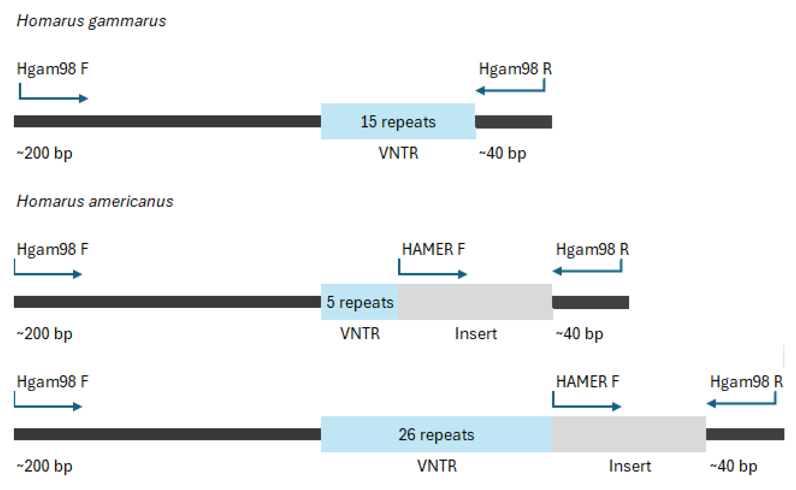Arthropoda 03 00015 g001
