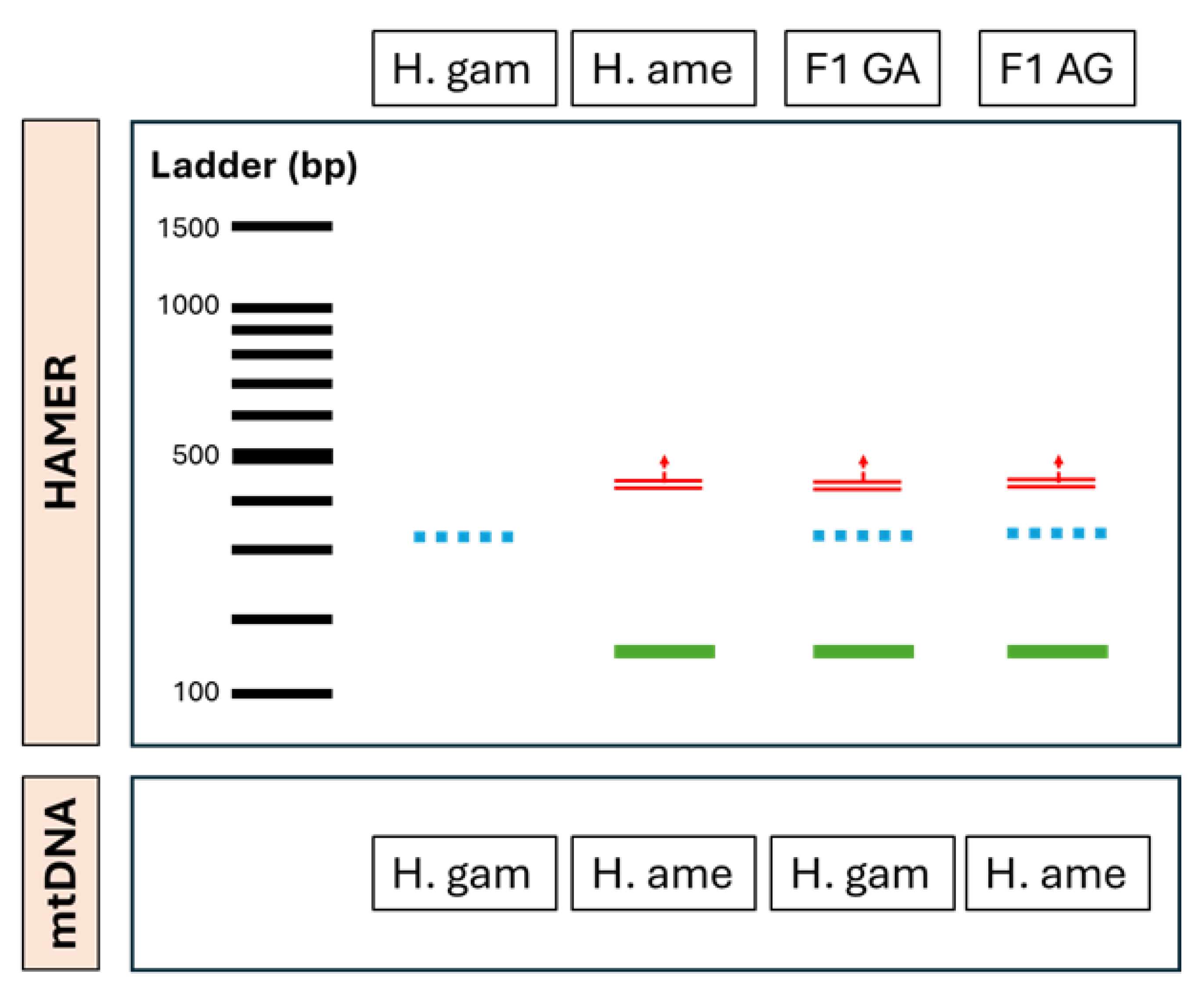 Arthropoda 03 00015 g002