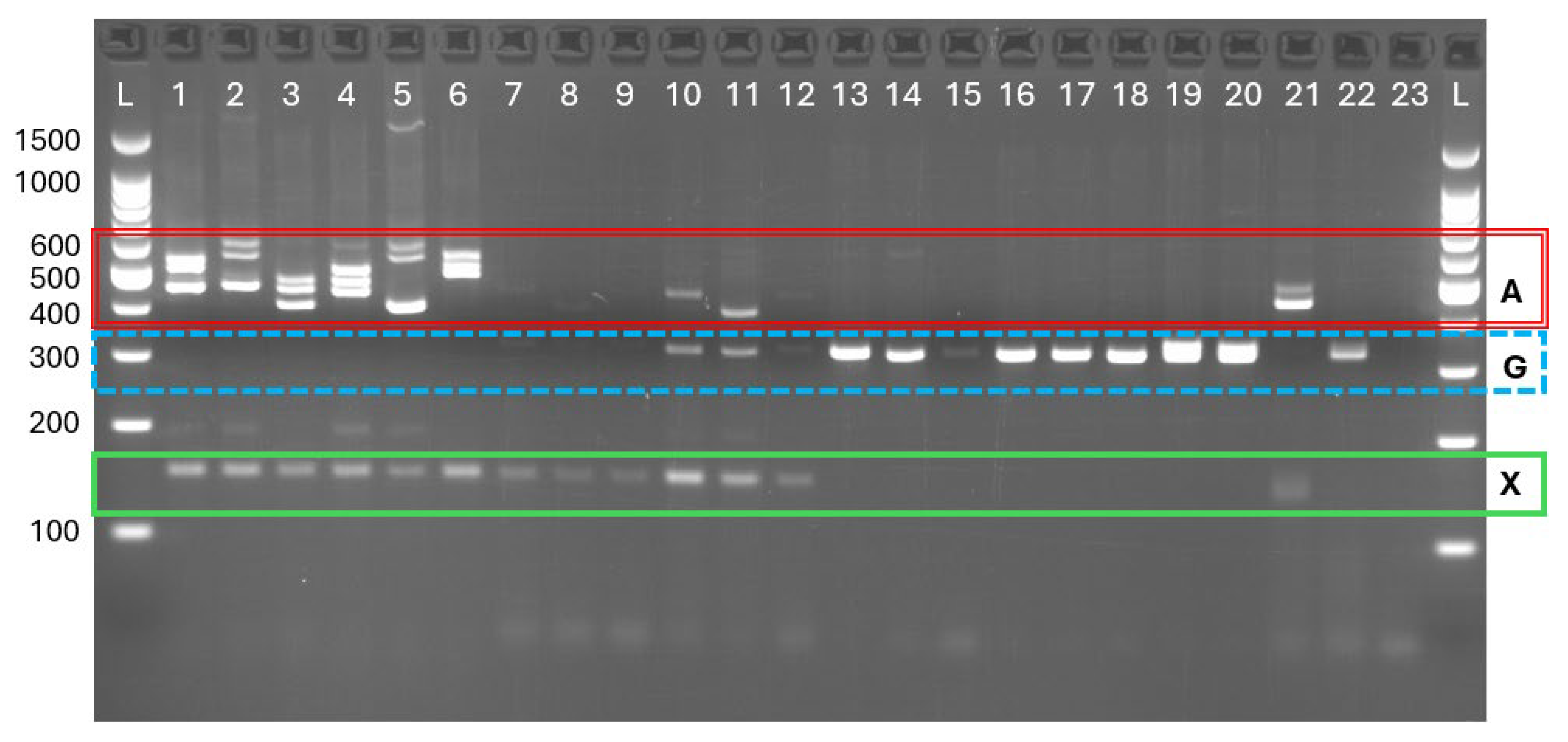 Arthropoda 03 00015 g003