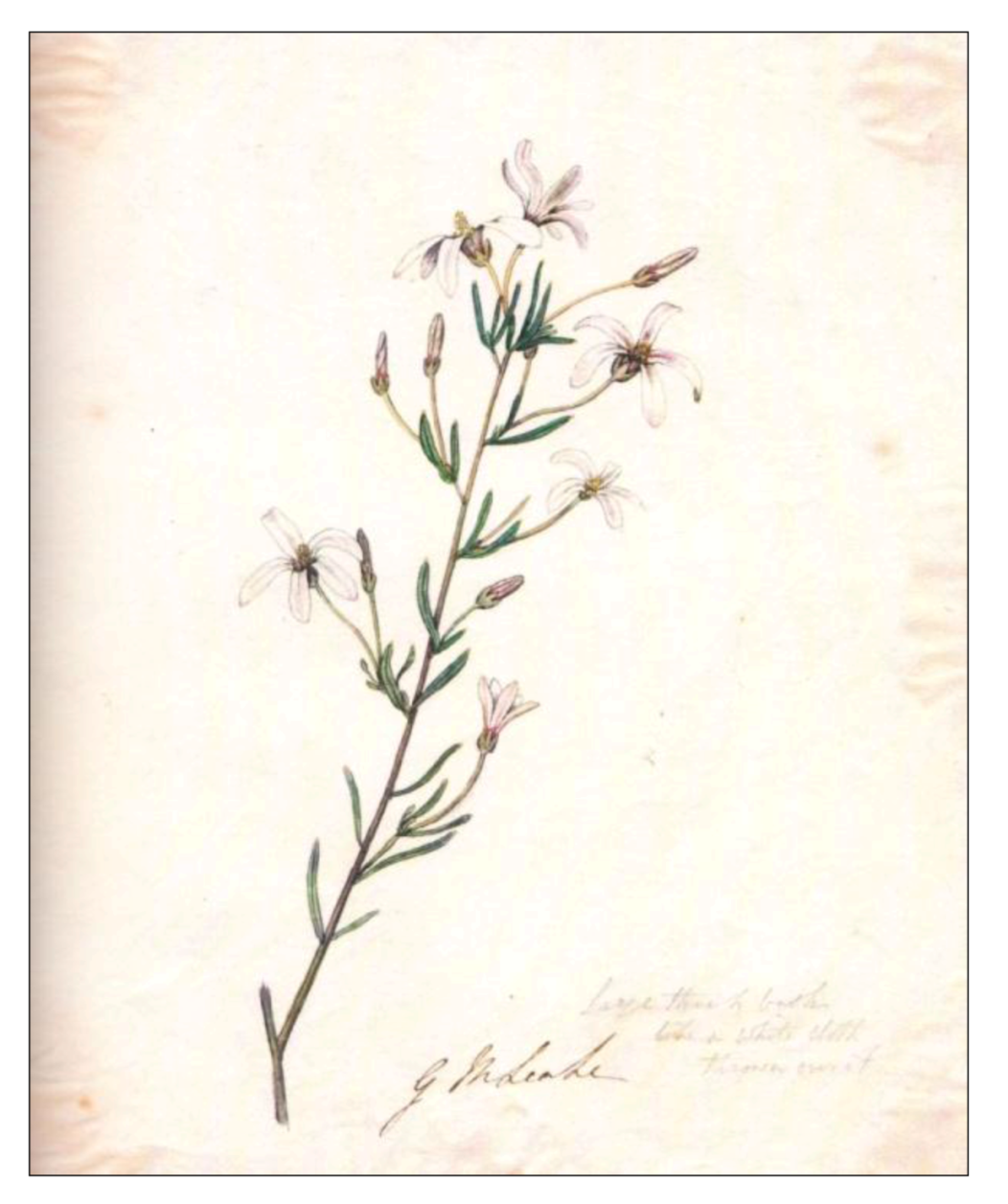 Arts 01 00013 g002 1024