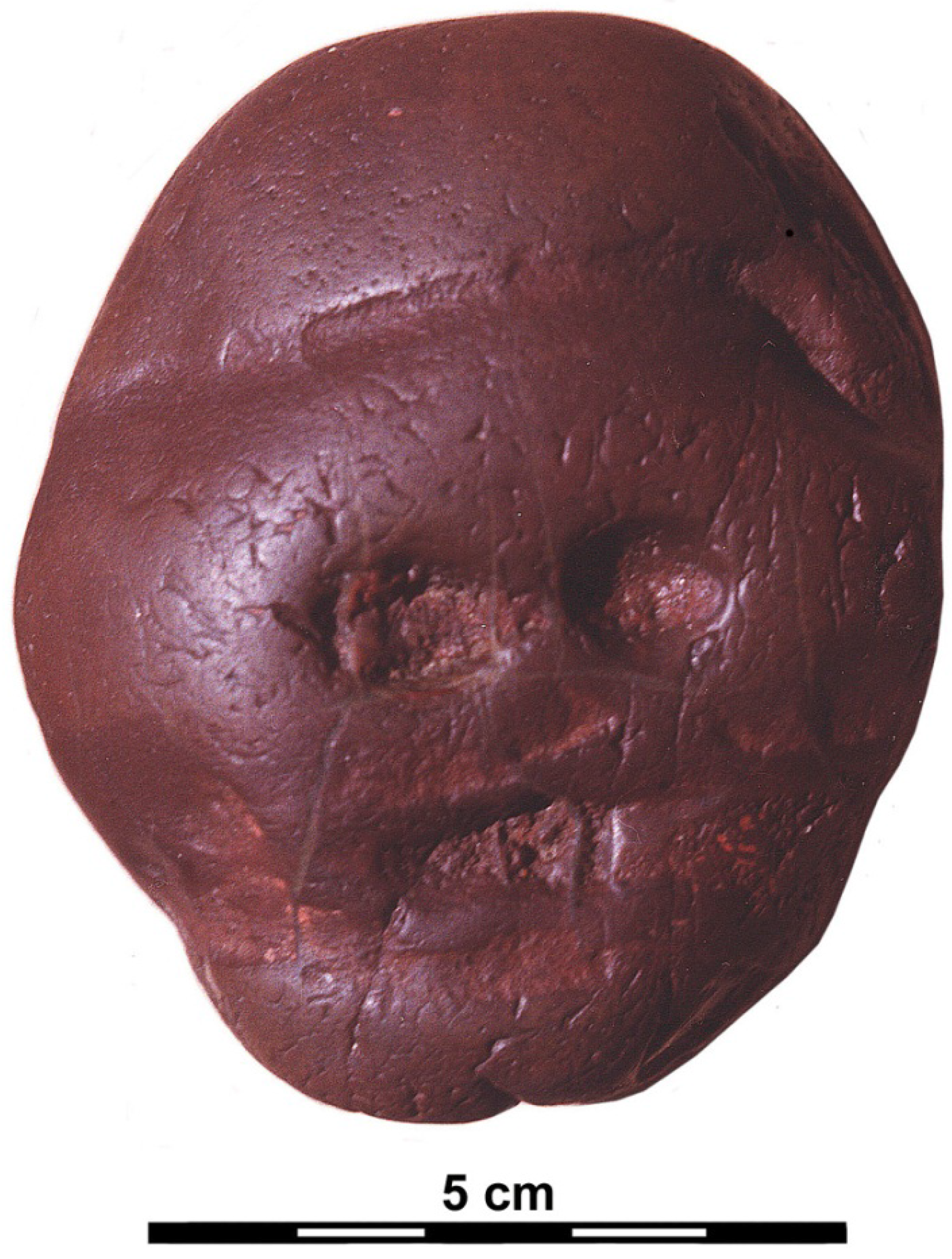 Arts 02 00006 g001 550