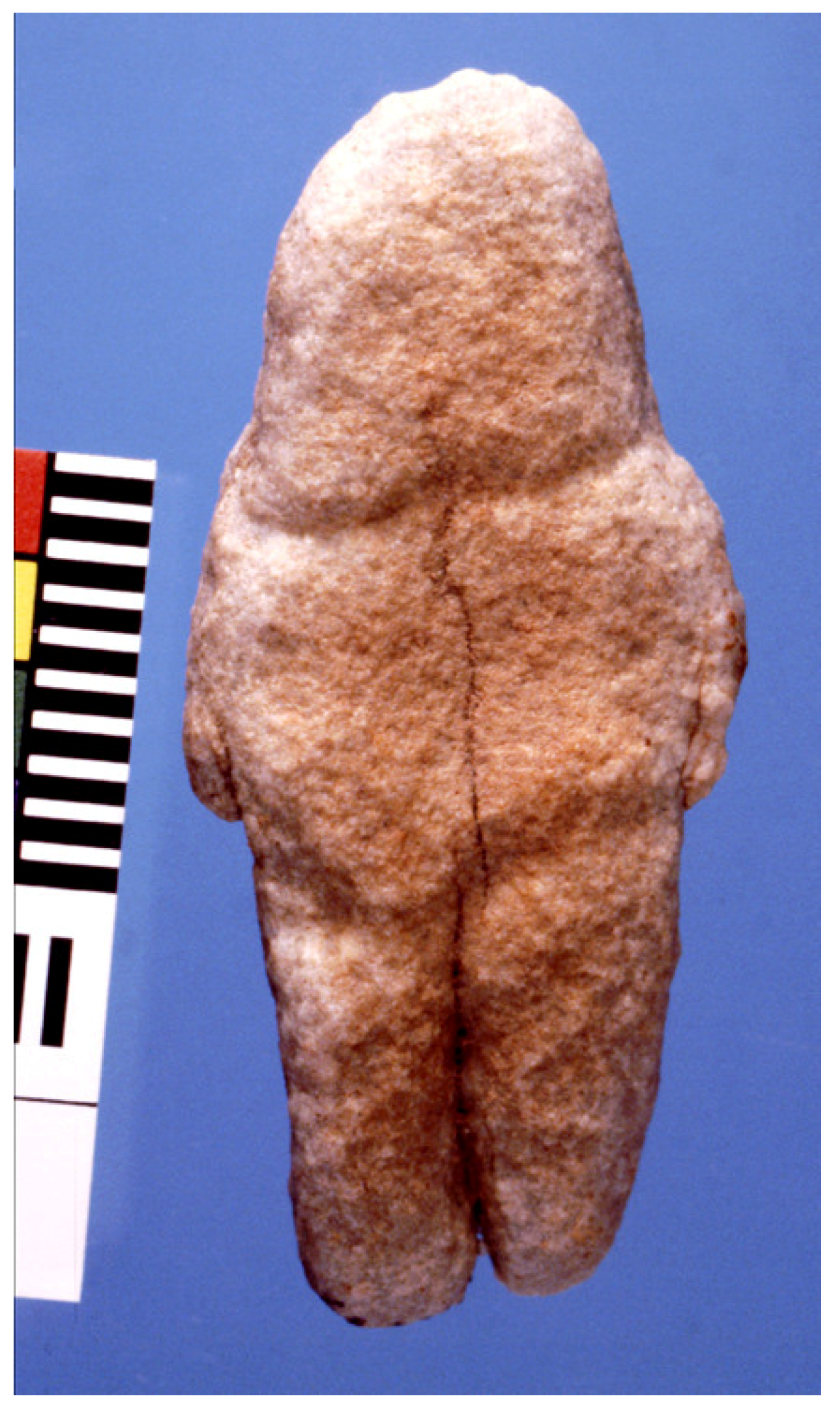 Arts 02 00006 g002 550