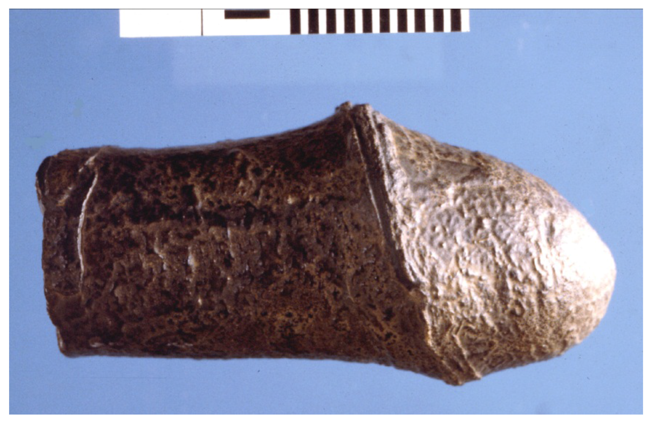 Arts 02 00006 g003 550