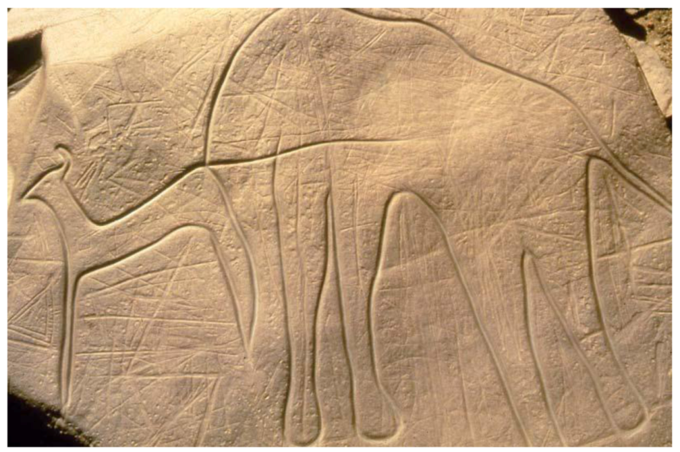 Arts 02 00035 g002 1024