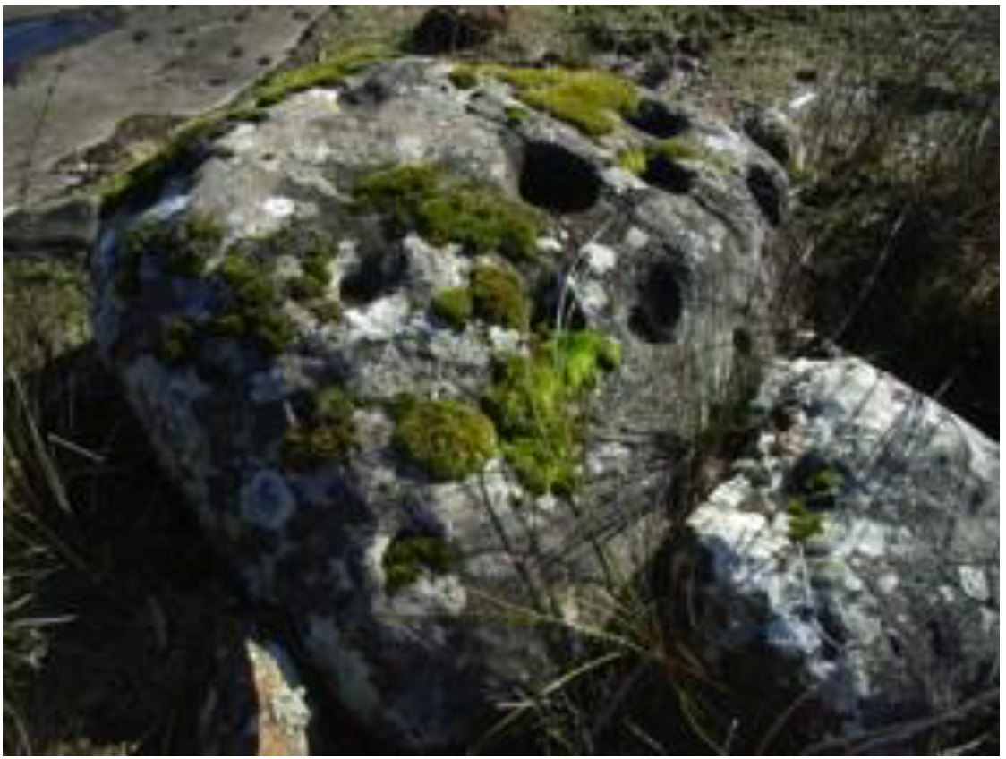 Arts 02 00182 g010 1024