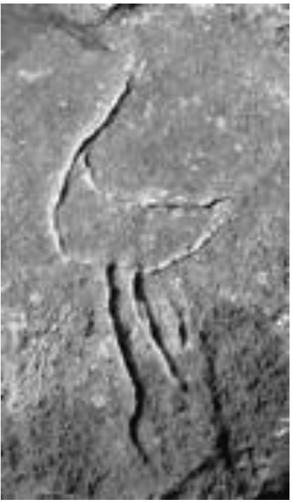 Arts 02 00182 g015 1024