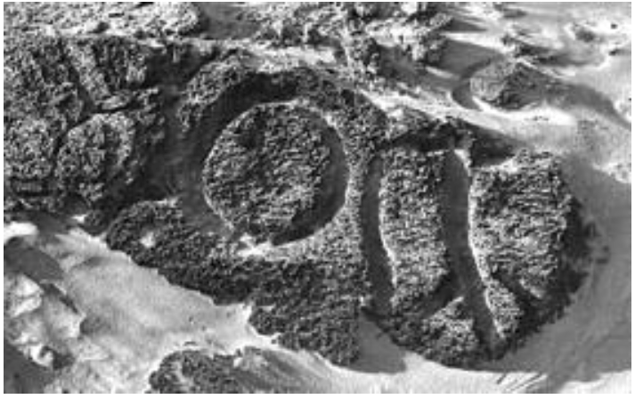 Arts 02 00182 g024 1024