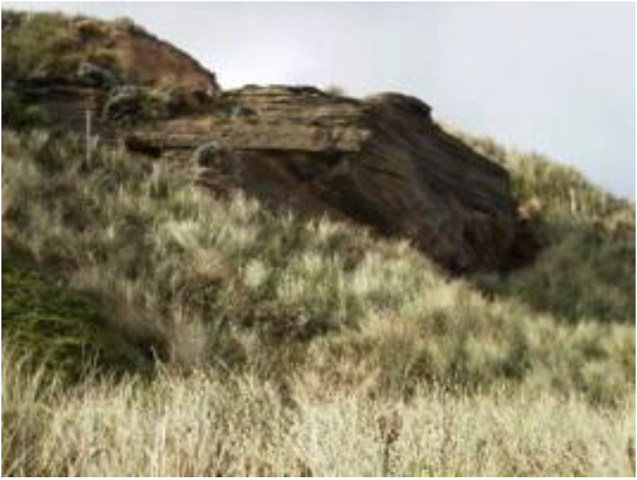 Arts 02 00182 g025 1024