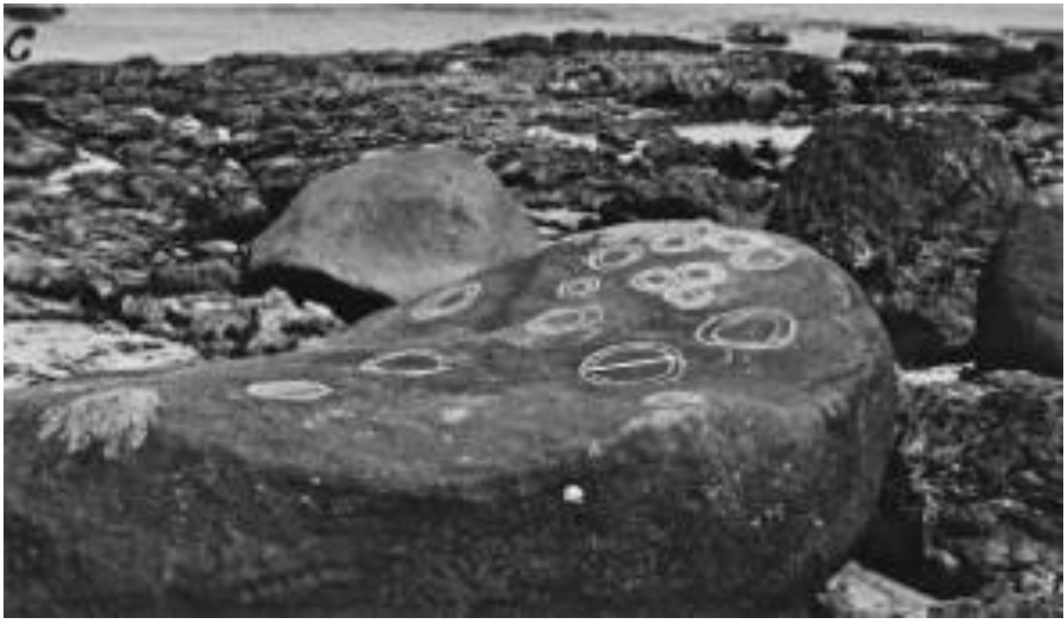 Arts 02 00182 g034 1024