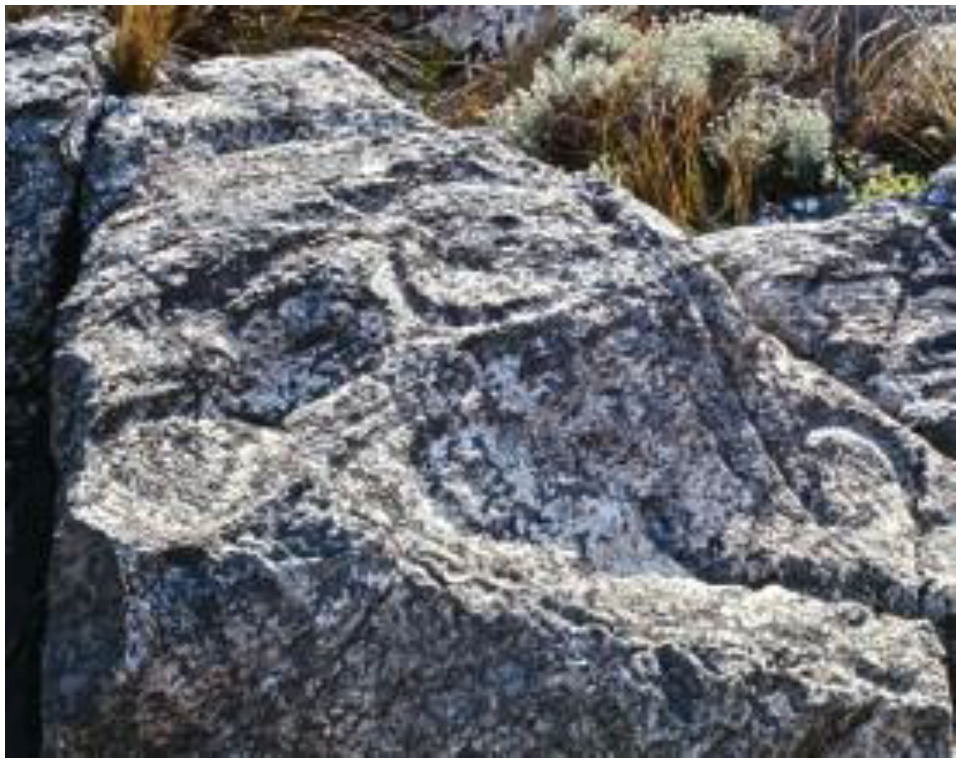 Arts 02 00182 g035 1024