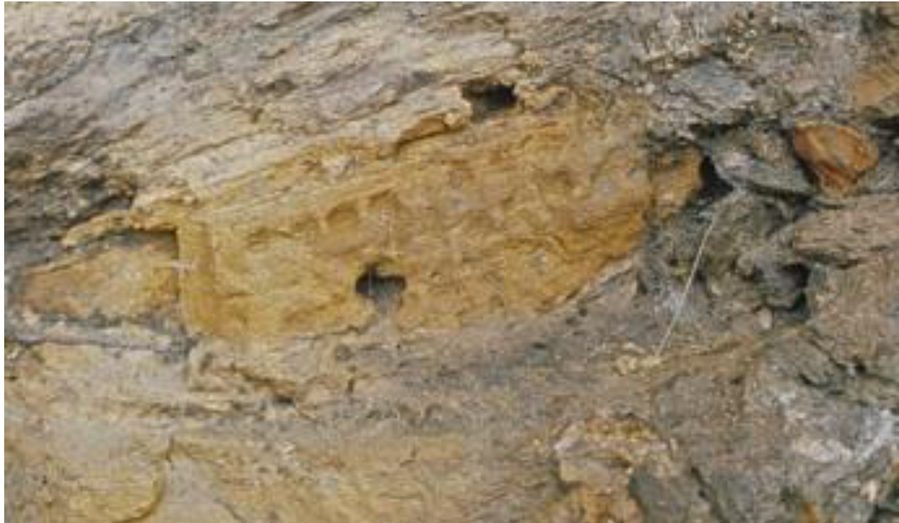 Arts 02 00182 g043 1024