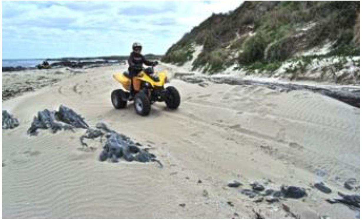 Arts 02 00182 g047 1024