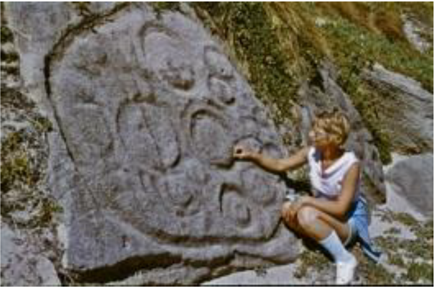 Arts 02 00182 g048 1024