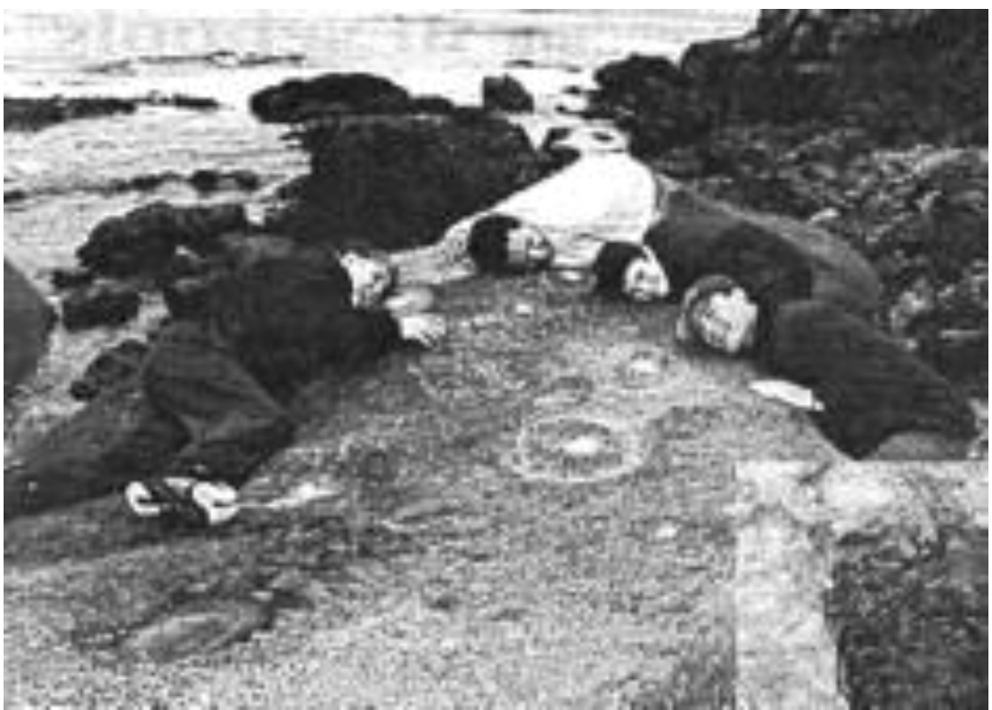 Arts 02 00182 g051 1024