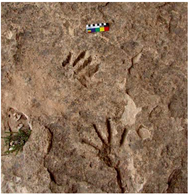 Arts 02 00328 g019 1024