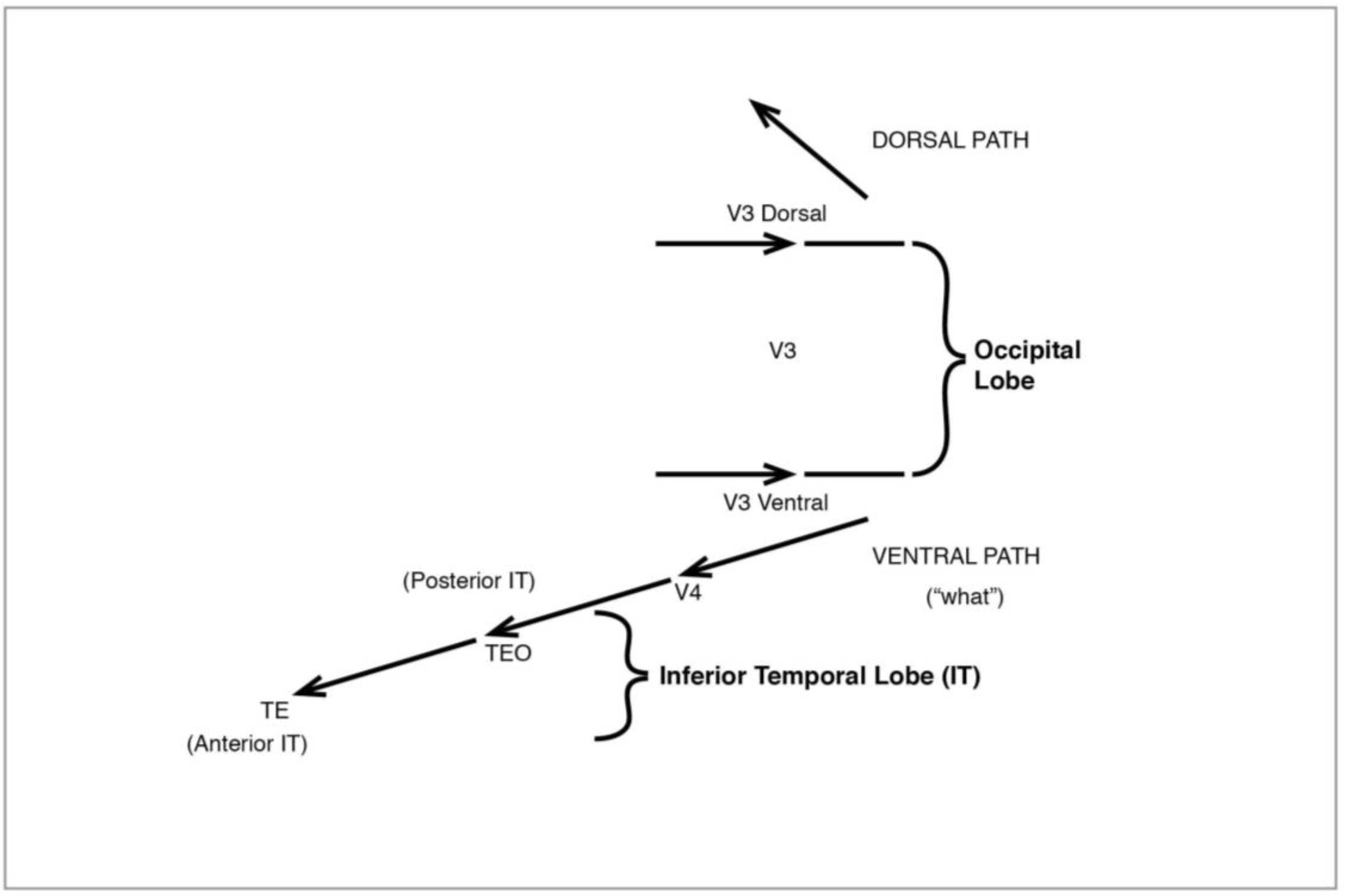 Arts 02 00383 g011 1024